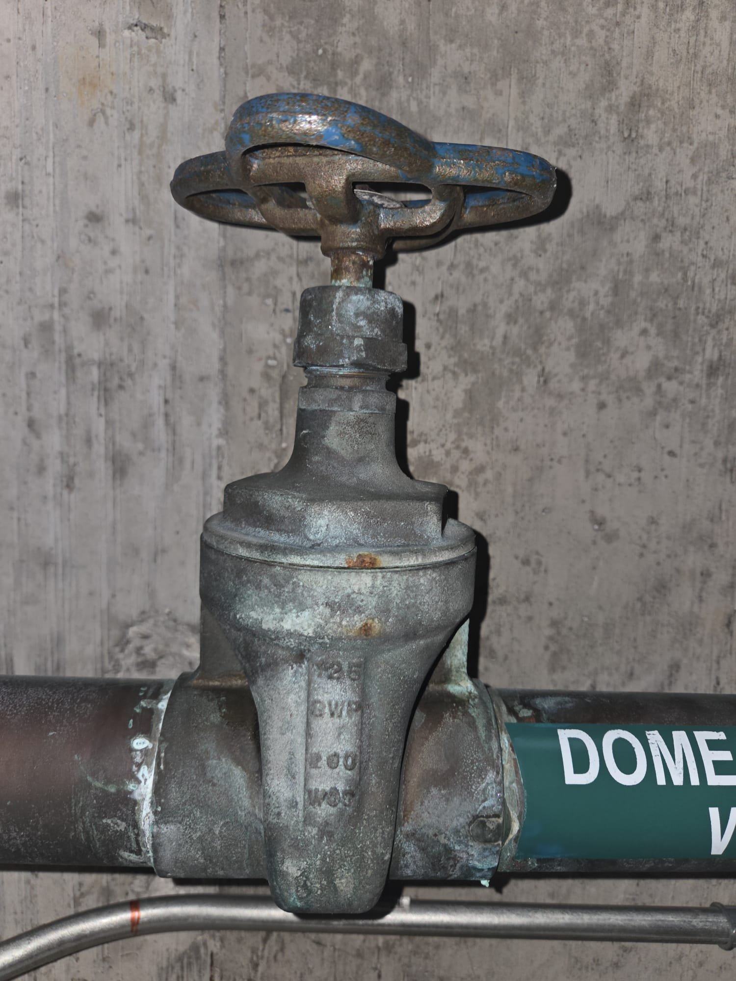 WhatsApp Image 2026-02-04 at 10.04.48 PM.jpeg