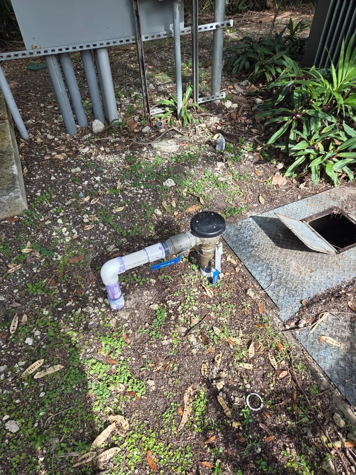 WhatsApp Image 2026-02-04 at 10.09.53 PM.jpeg