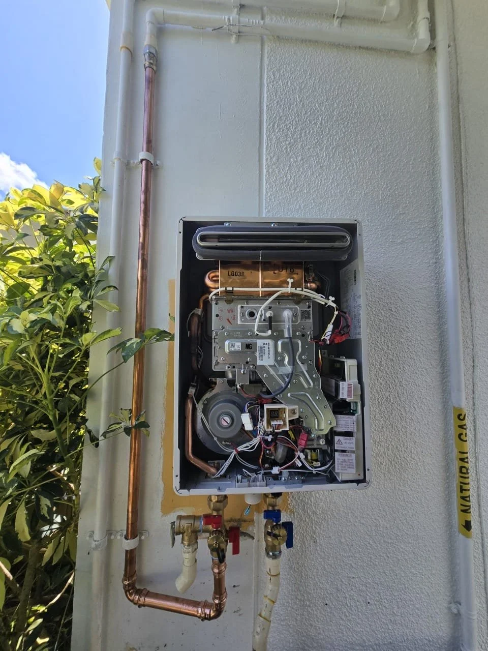 WhatsApp Image 2026-02-04 at 10.21.39 PM (2).jpeg