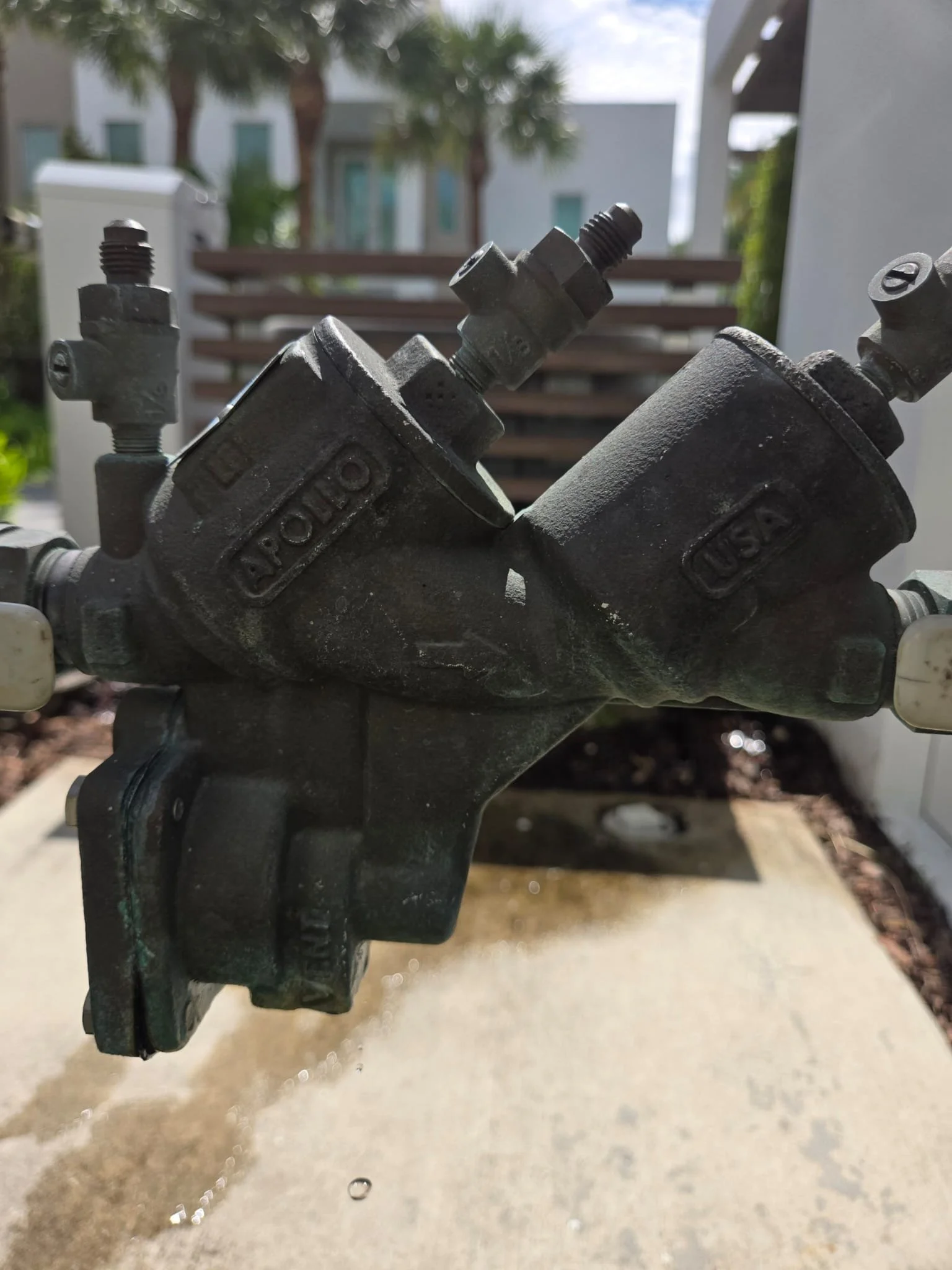 WhatsApp Image 2026-02-04 at 10.12.29 PM (3).jpeg