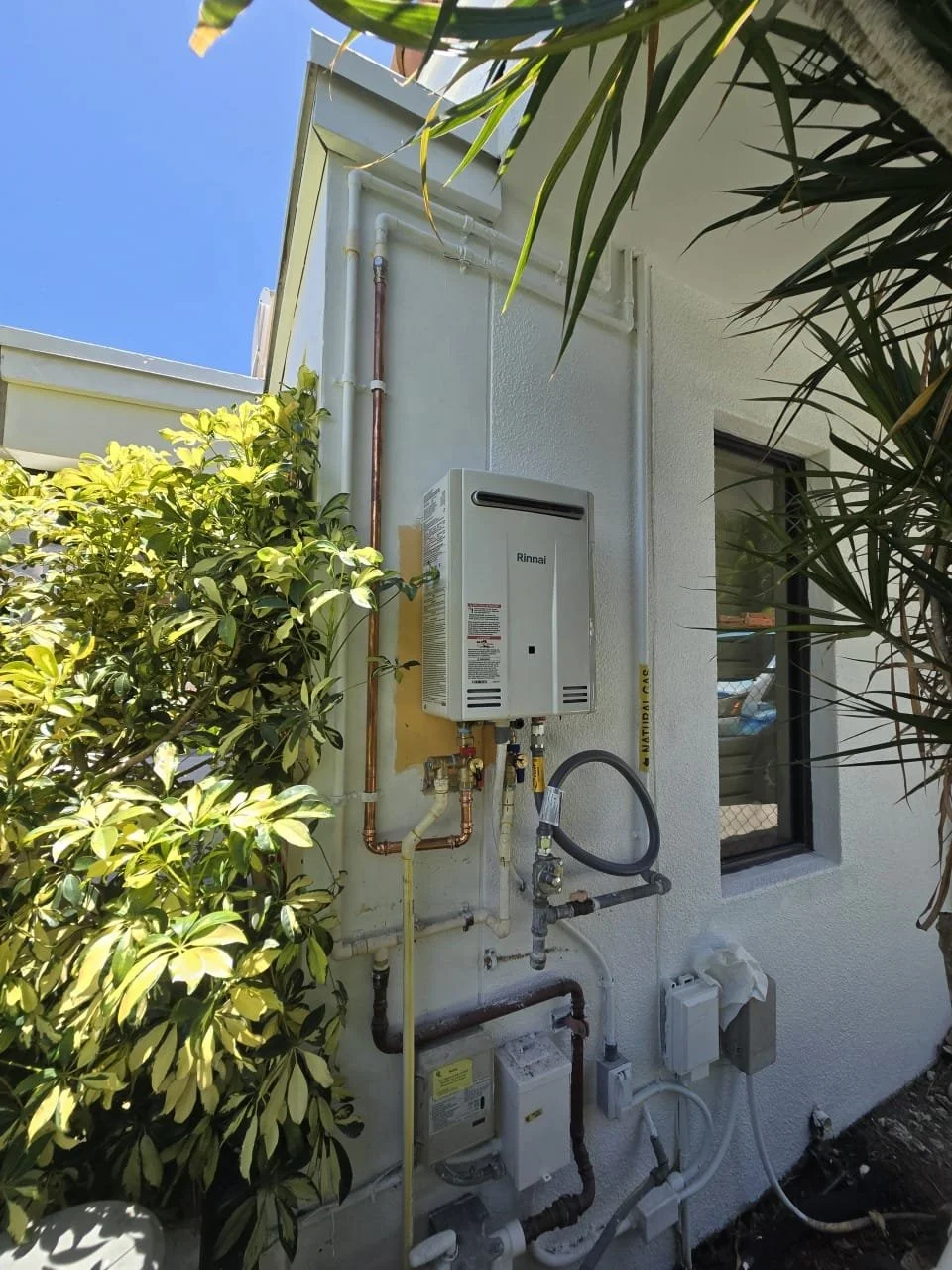 WhatsApp Image 2026-02-04 at 10.21.40 PM (4).jpeg