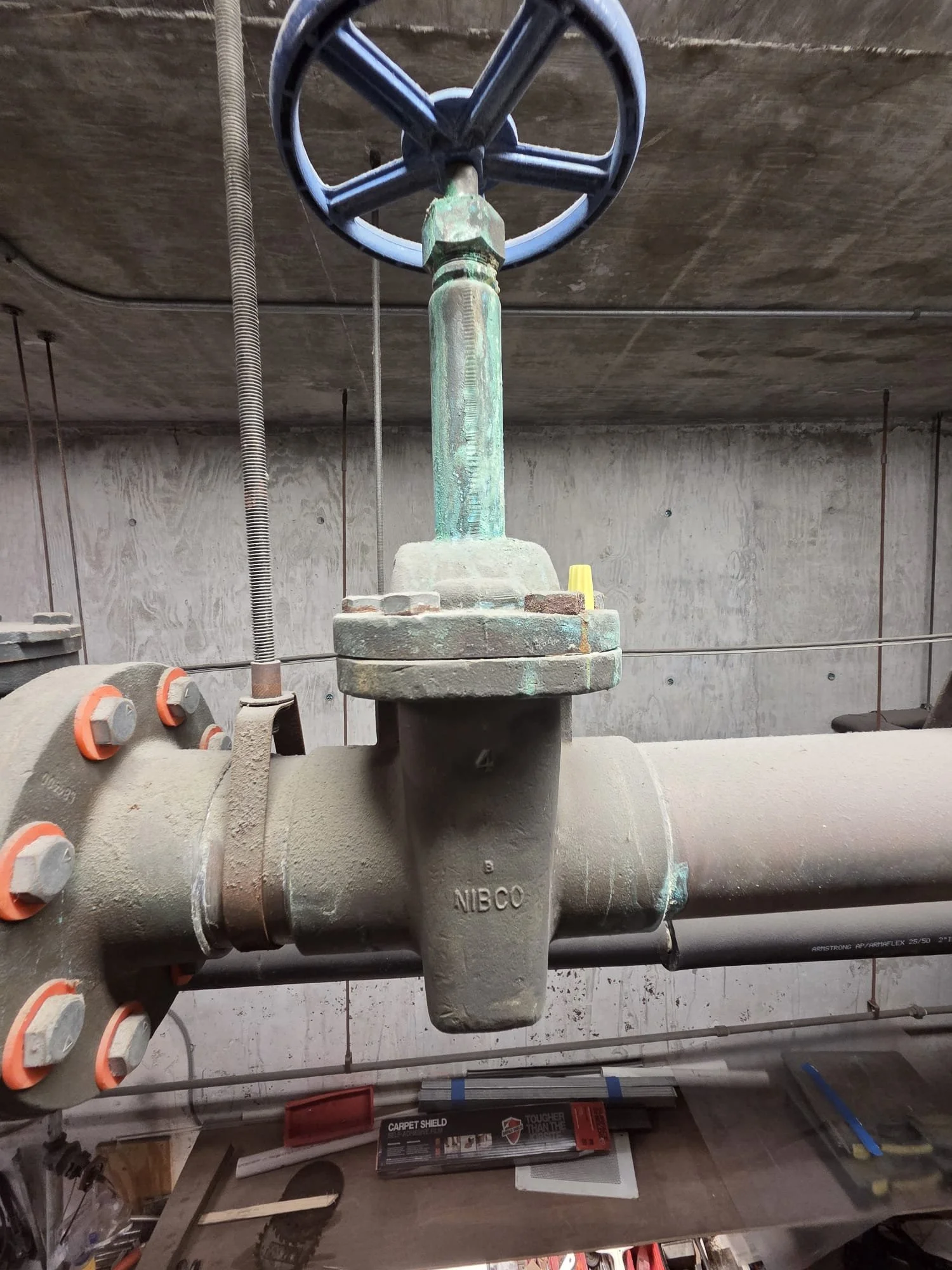 WhatsApp Image 2026-02-04 at 10.04.48 PM (4).jpeg