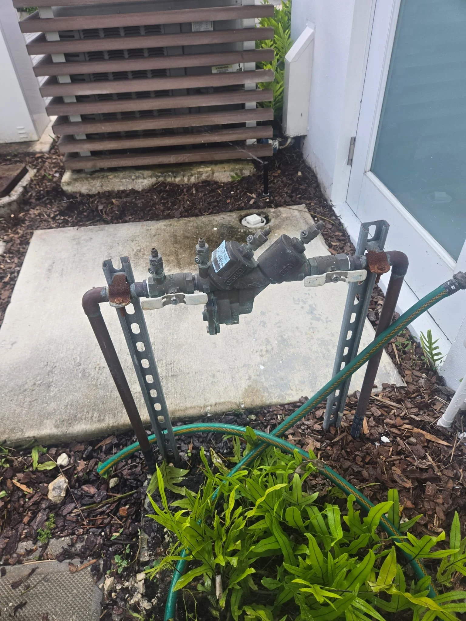 WhatsApp Image 2026-02-04 at 10.12.29 PM (5).jpeg