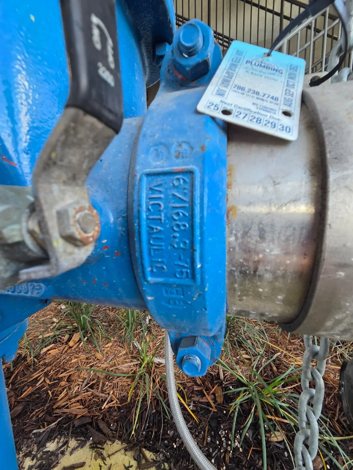 WhatsApp Image 2026-02-04 at 10.05.23 PM (1).jpeg