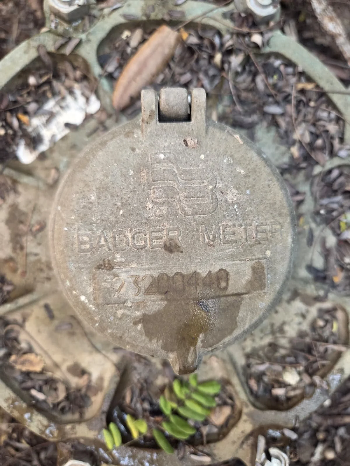 WhatsApp Image 2026-02-04 at 10.09.54 PM.jpeg