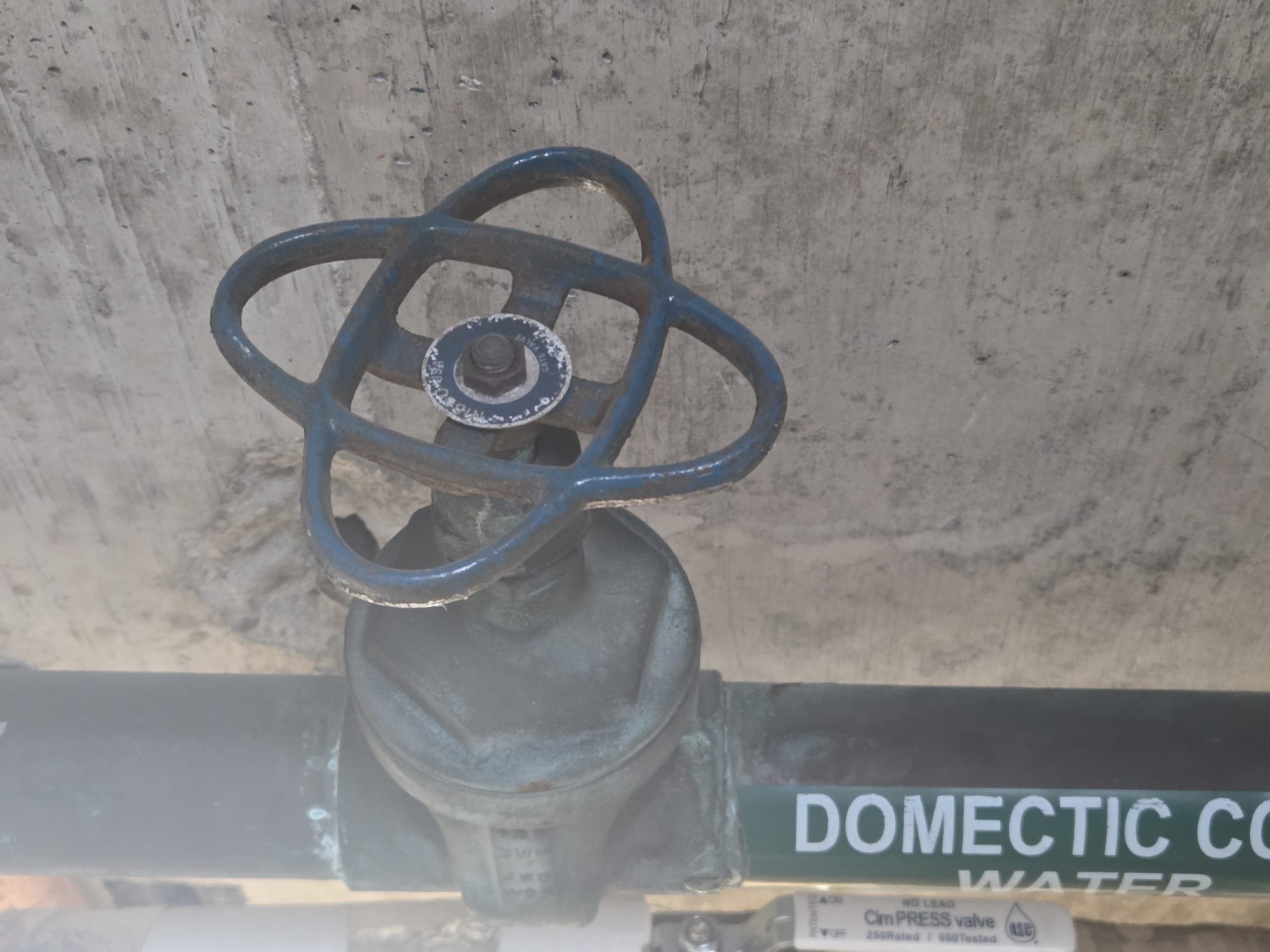 WhatsApp Image 2026-02-04 at 10.04.48 PM (3).jpeg