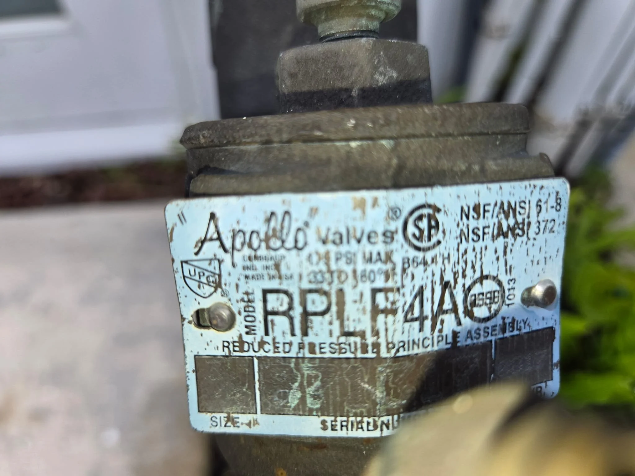 WhatsApp Image 2026-02-04 at 10.12.28 PM (3).jpeg