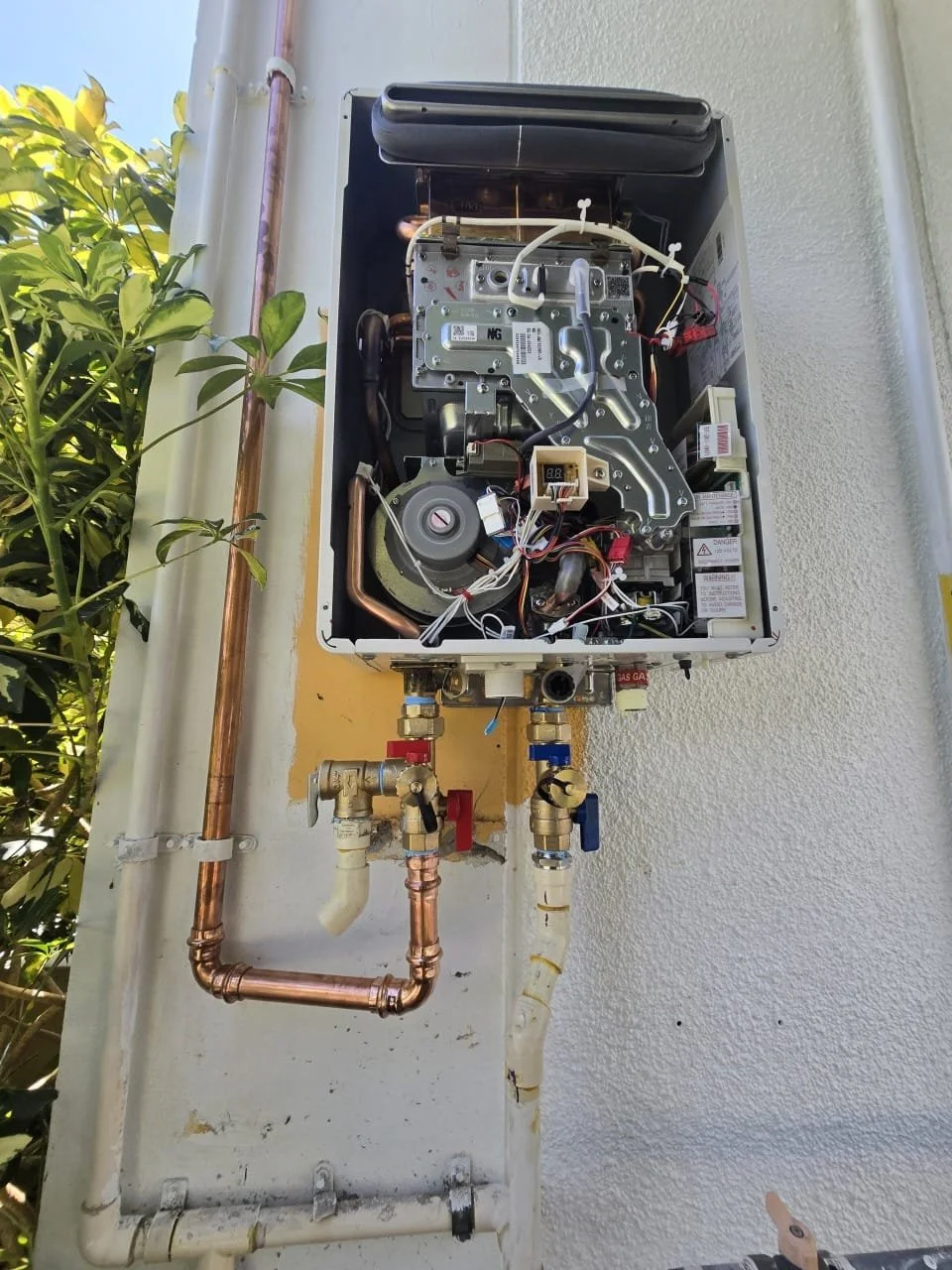 WhatsApp Image 2026-02-04 at 10.21.39 PM (1).jpeg