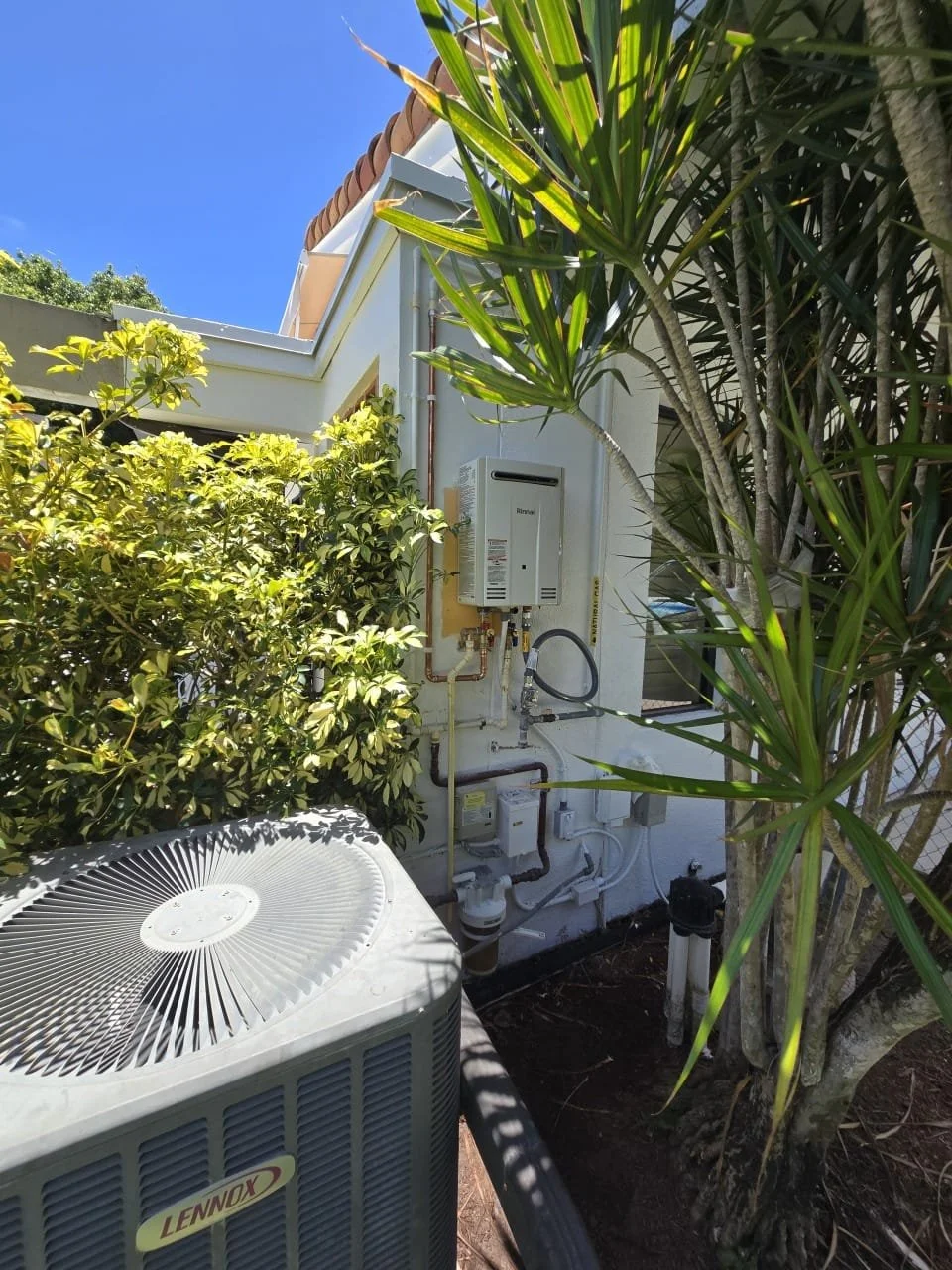 WhatsApp Image 2026-02-04 at 10.21.40 PM (2).jpeg