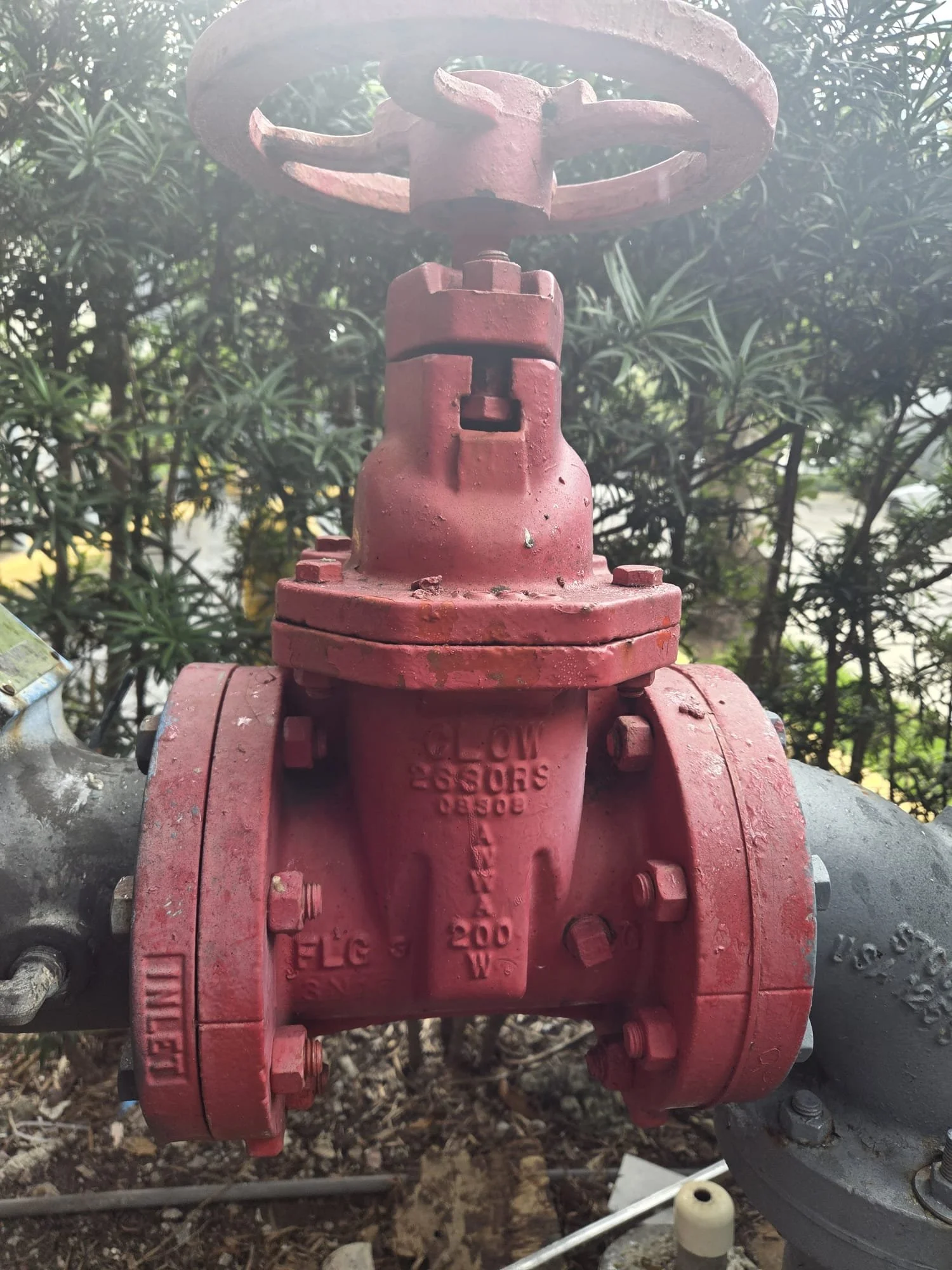 WhatsApp Image 2026-02-04 at 10.04.49 PM (5).jpeg