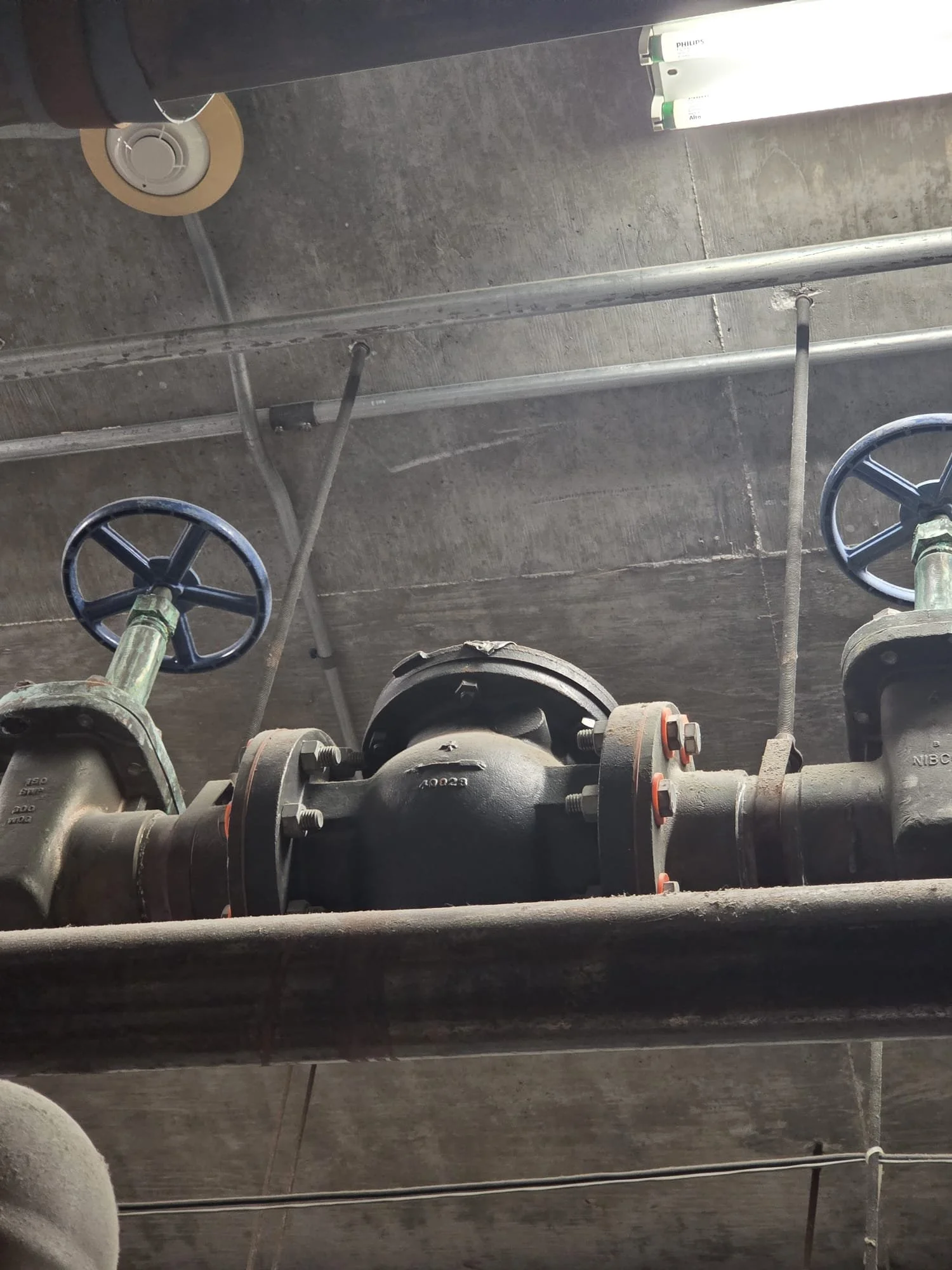 WhatsApp Image 2026-02-04 at 10.04.49 PM (3).jpeg