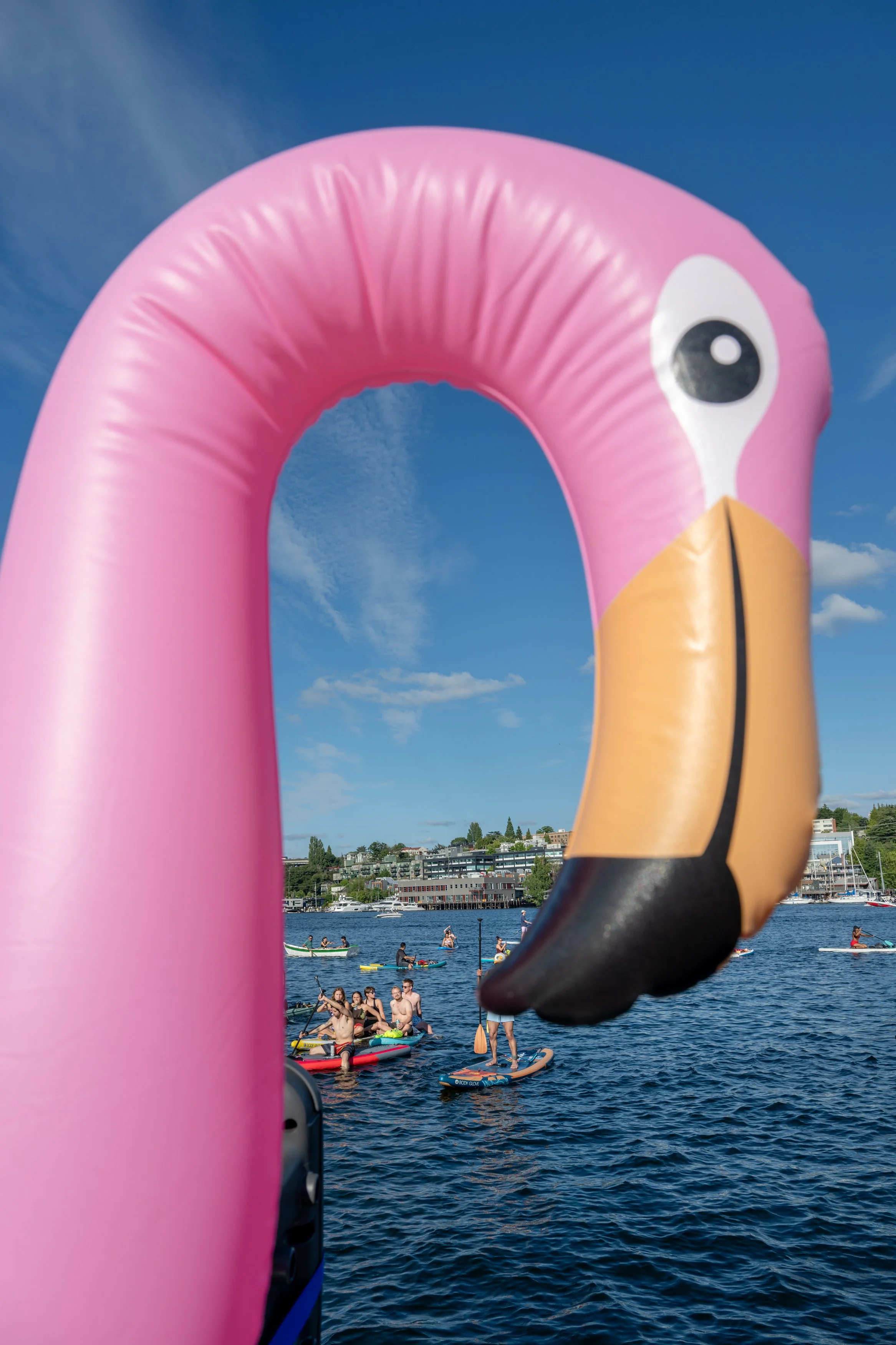 Seattle Paddle Rave floatie flamingo