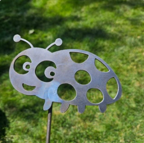 Lady Bug Spike
