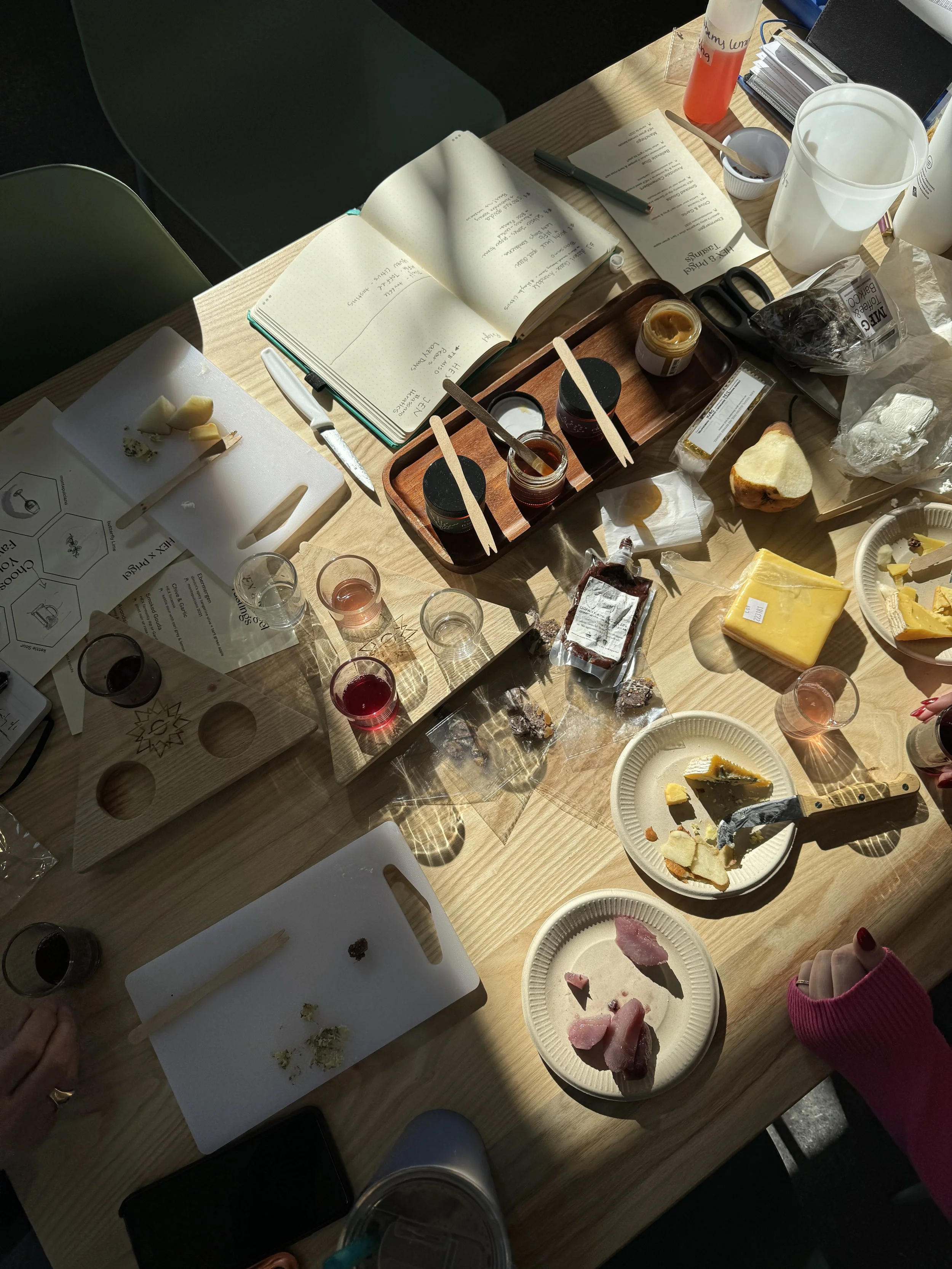 A table with various cheeses, bread, and wine tasting supplies, including glasses, knives, and informational pamphlets, with sunlight casting shadows on the setup.