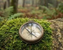 Why Self-Doubt Persists Even When You’re Capable: How Self-Trust Becomes Conditional