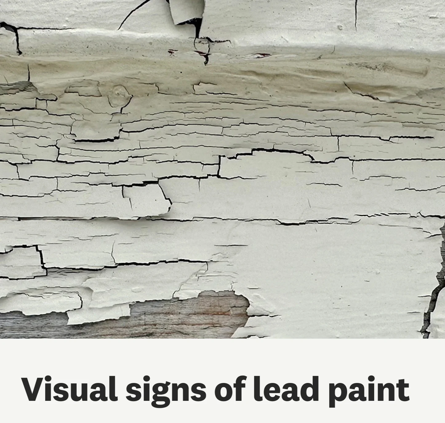 lead-paint+website.webp