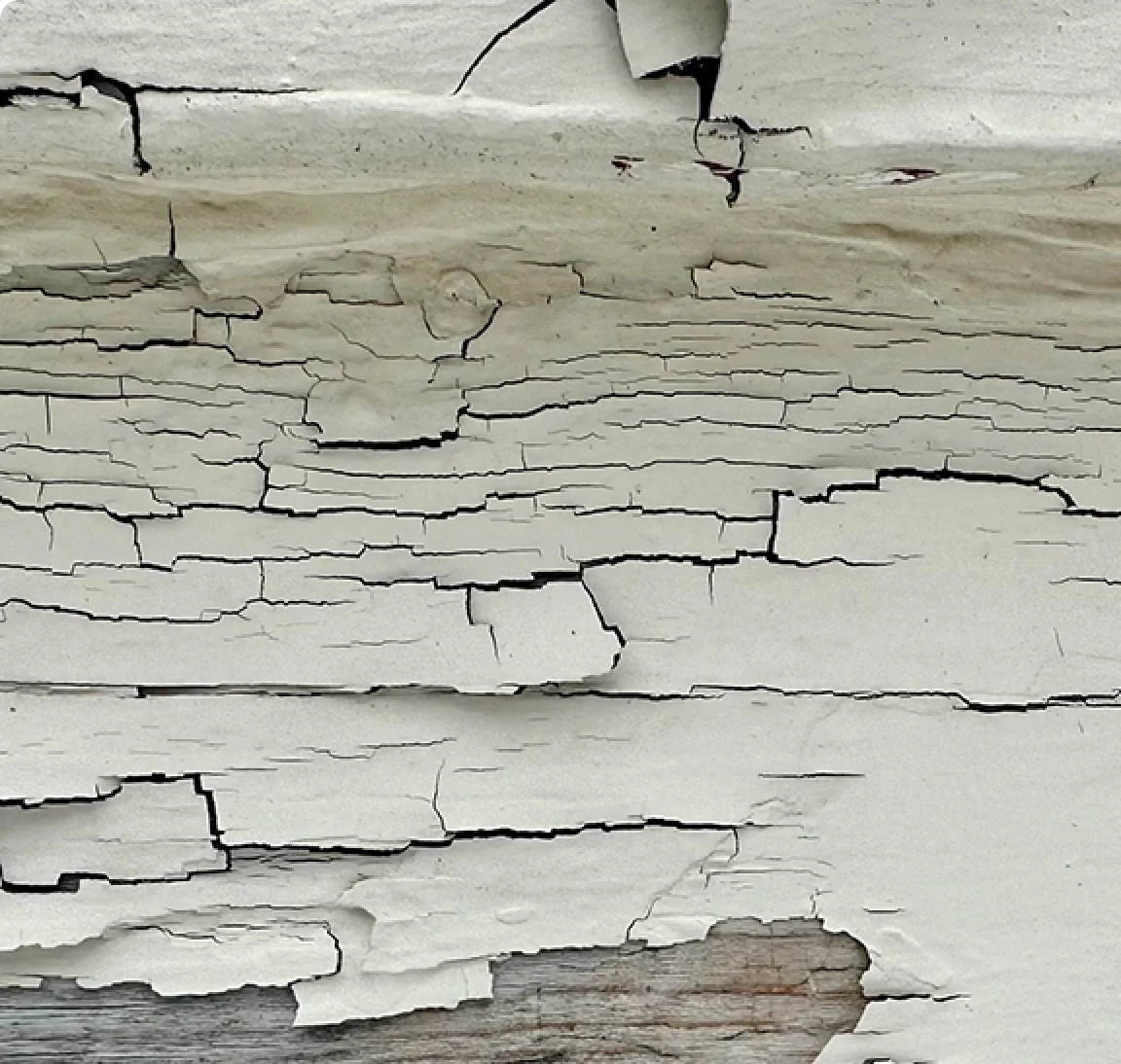 lead-paint+website.webp