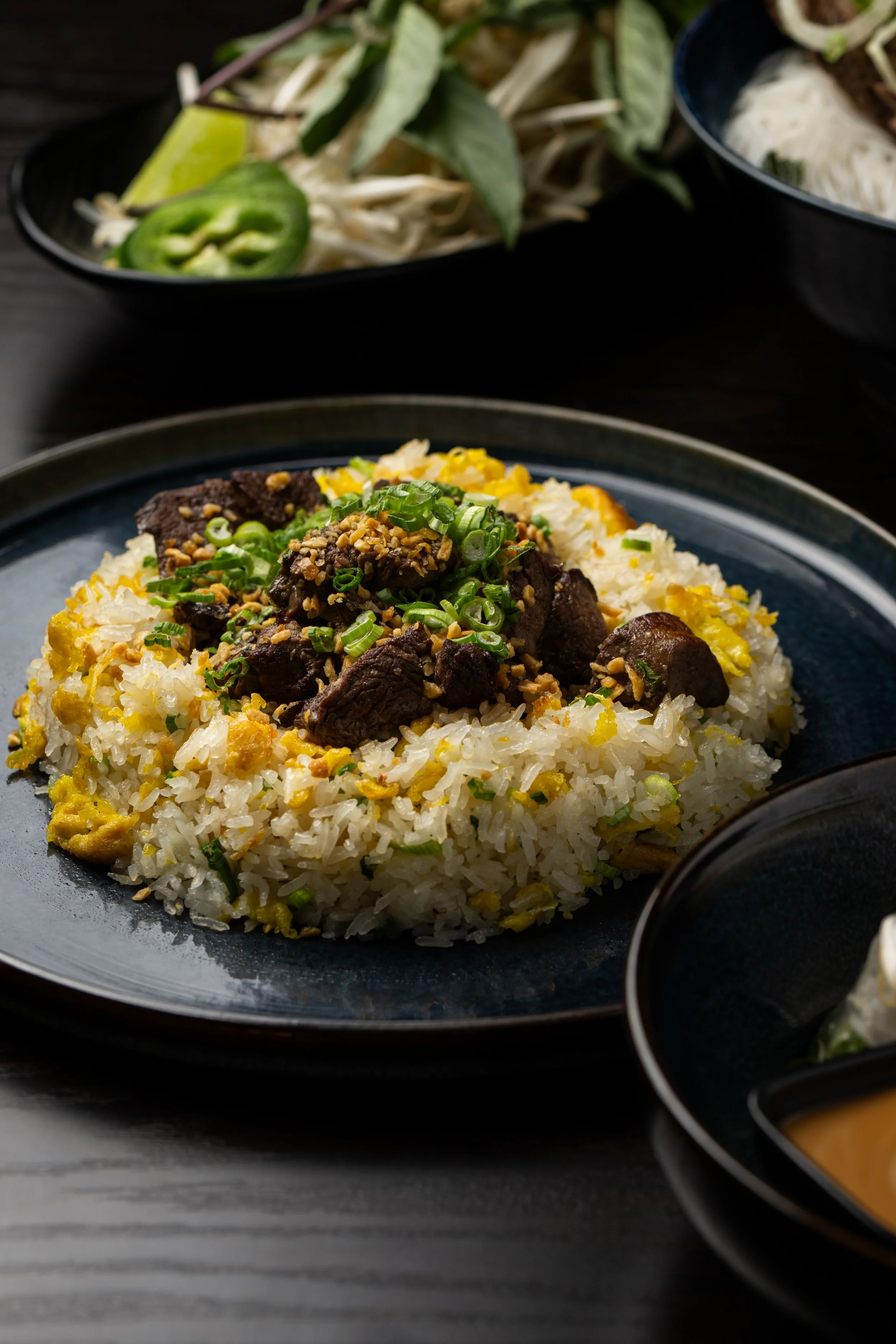 Filet Mignon Fried Rice Aesthetic 1.jpg