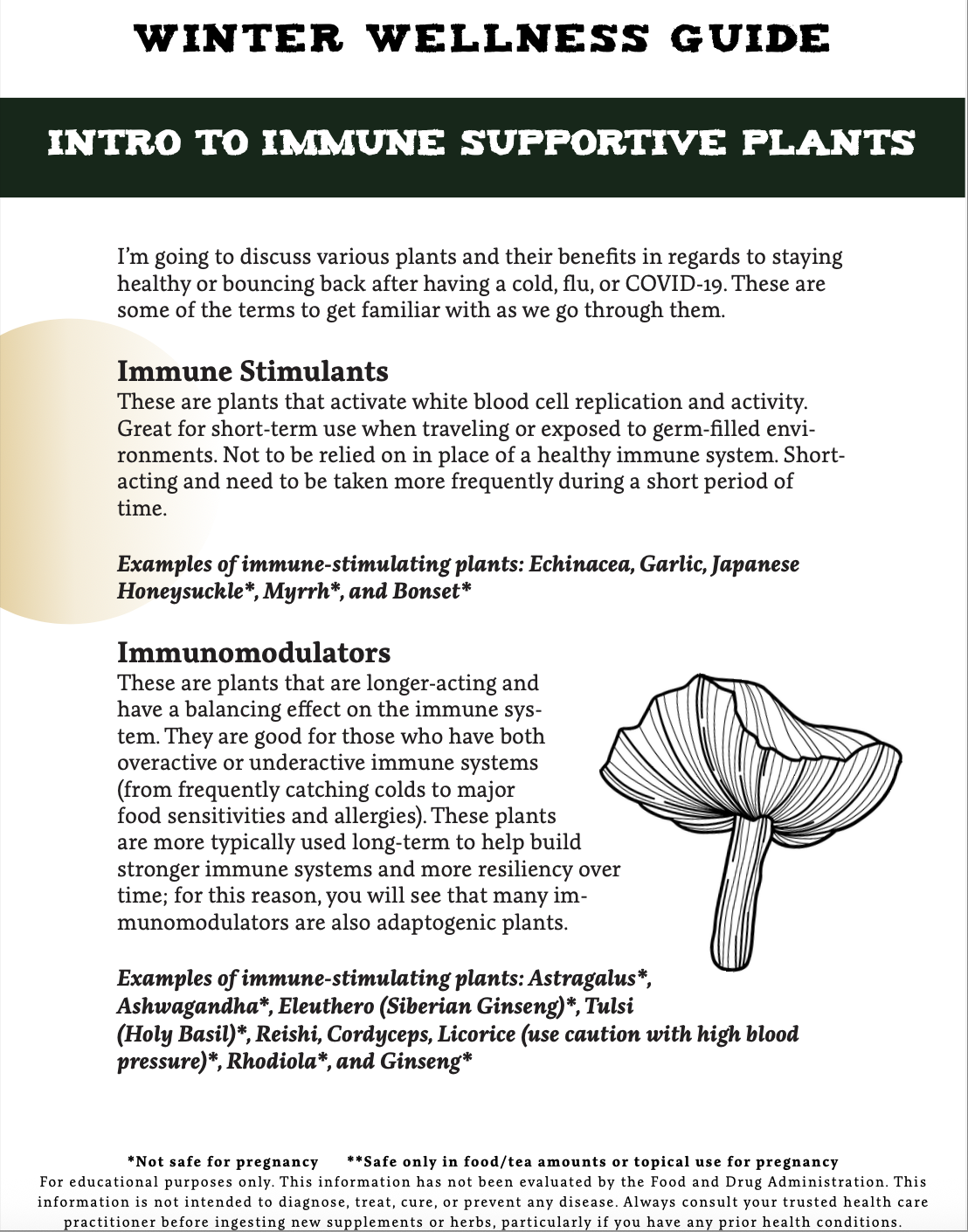 Screenshot 2026-01-06 at 4.06.10 PM.png