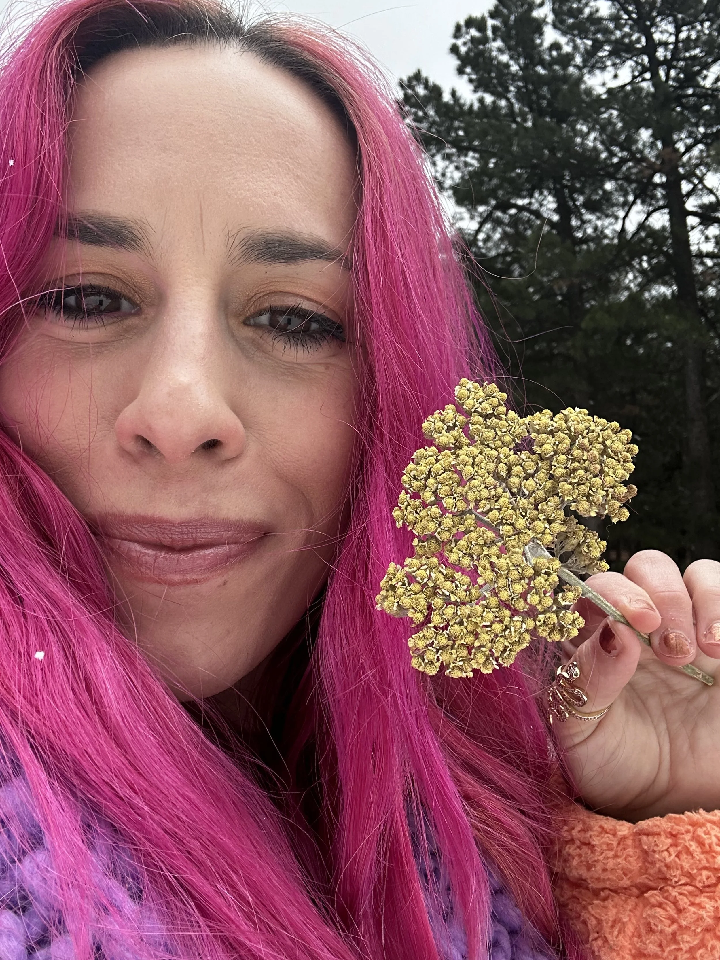 Herbalism & Functional Nutrition