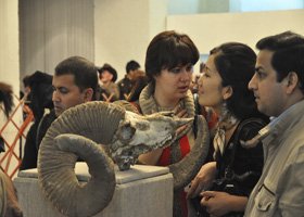 A woman and two men observe a small animal exhibit at a zoo or museum, with the animal on display in front of them.