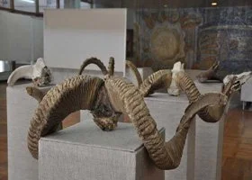 A sculpture of a snake made from coiled rope, displayed on a table in a museum or gallery.