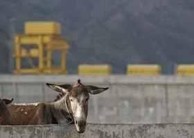 A horse standing outdoors with a mountain backdrop and industrial structures in the background.