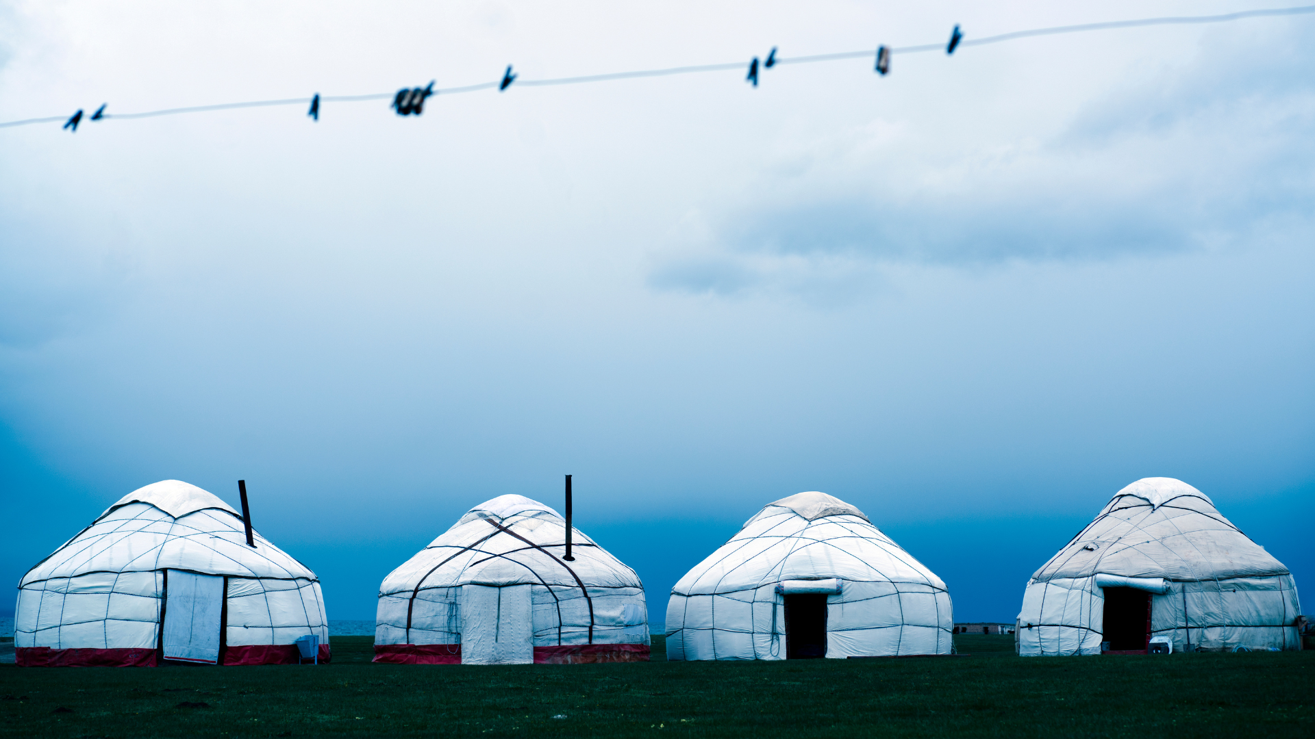 Four white yurts with red bases on a grassy field under a cloudy sky, with laundry hanging on a wire in the foreground.