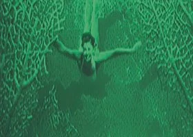 Person swimming underwater between green aquatic plants.