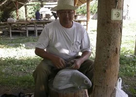 Man wearing a white shirt and straw hat sitting outdoors with a fish on a chopping block.