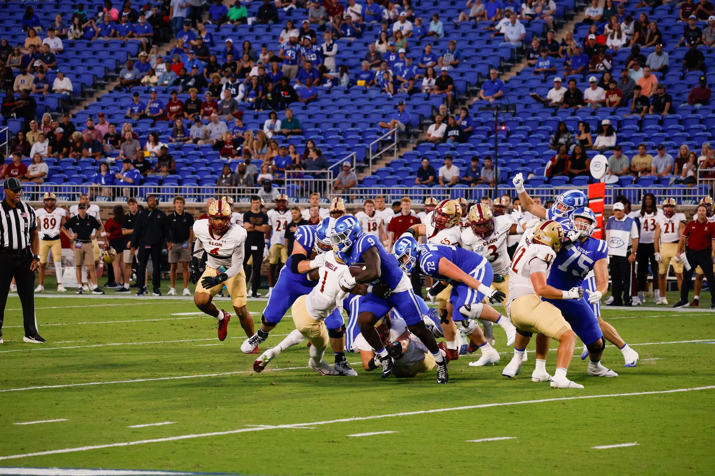 Elon Website (8 of 29).jpg