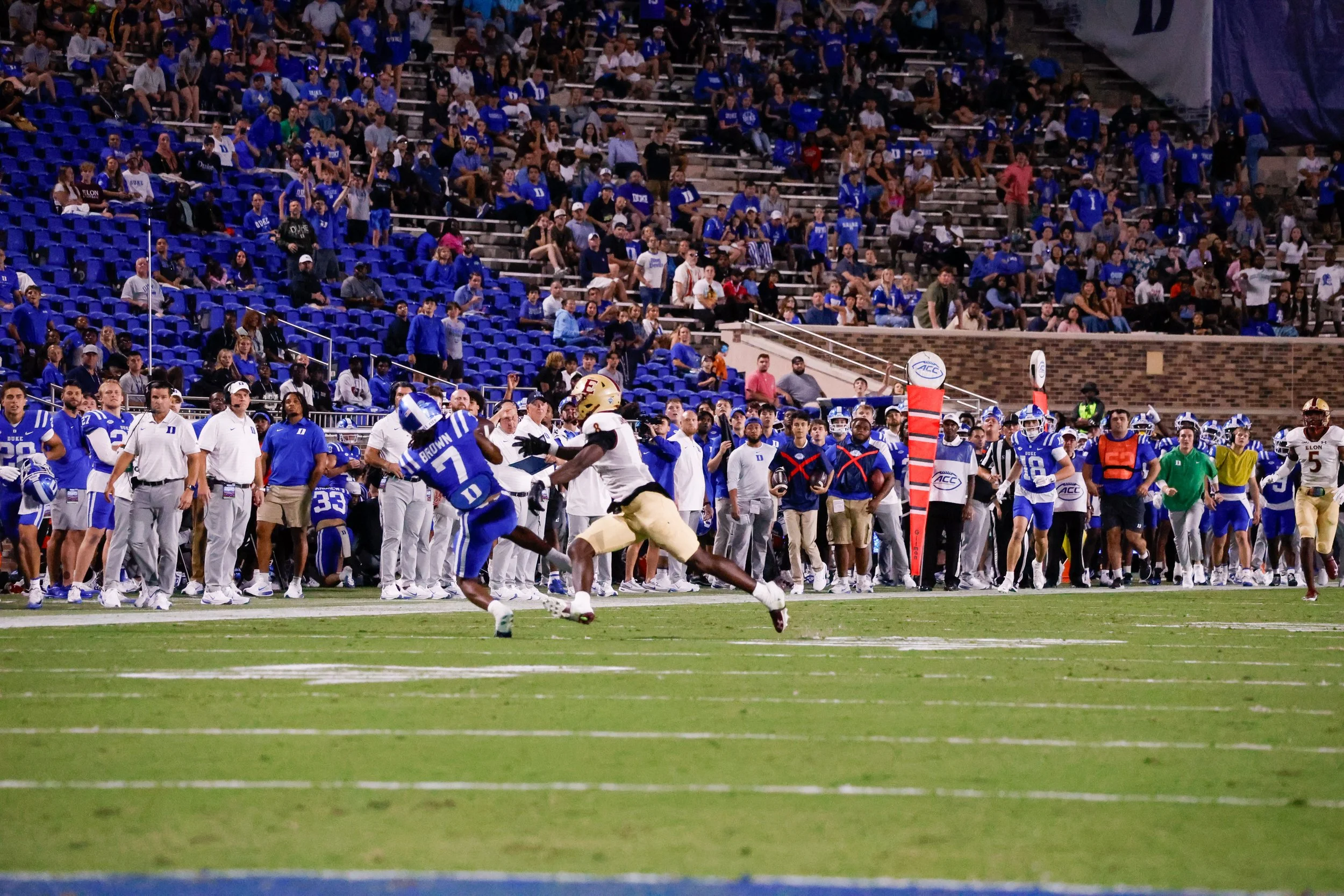 Elon Website (26 of 29).jpg