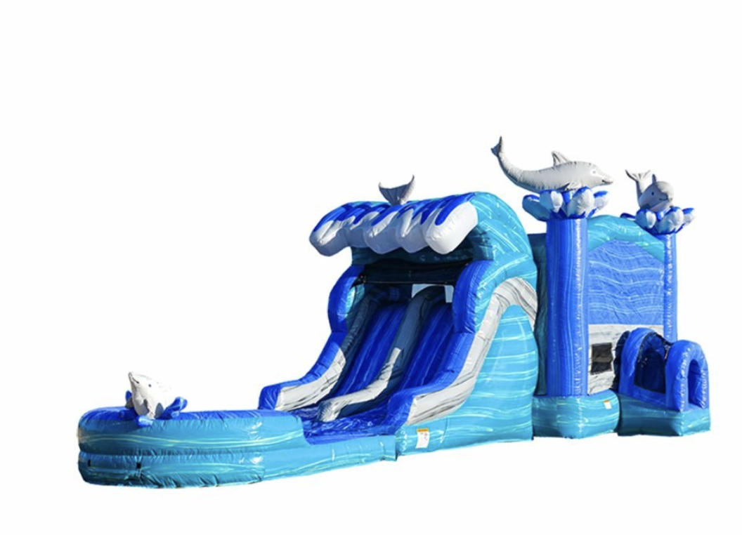 dolphin-water-combo-inflatable-rental