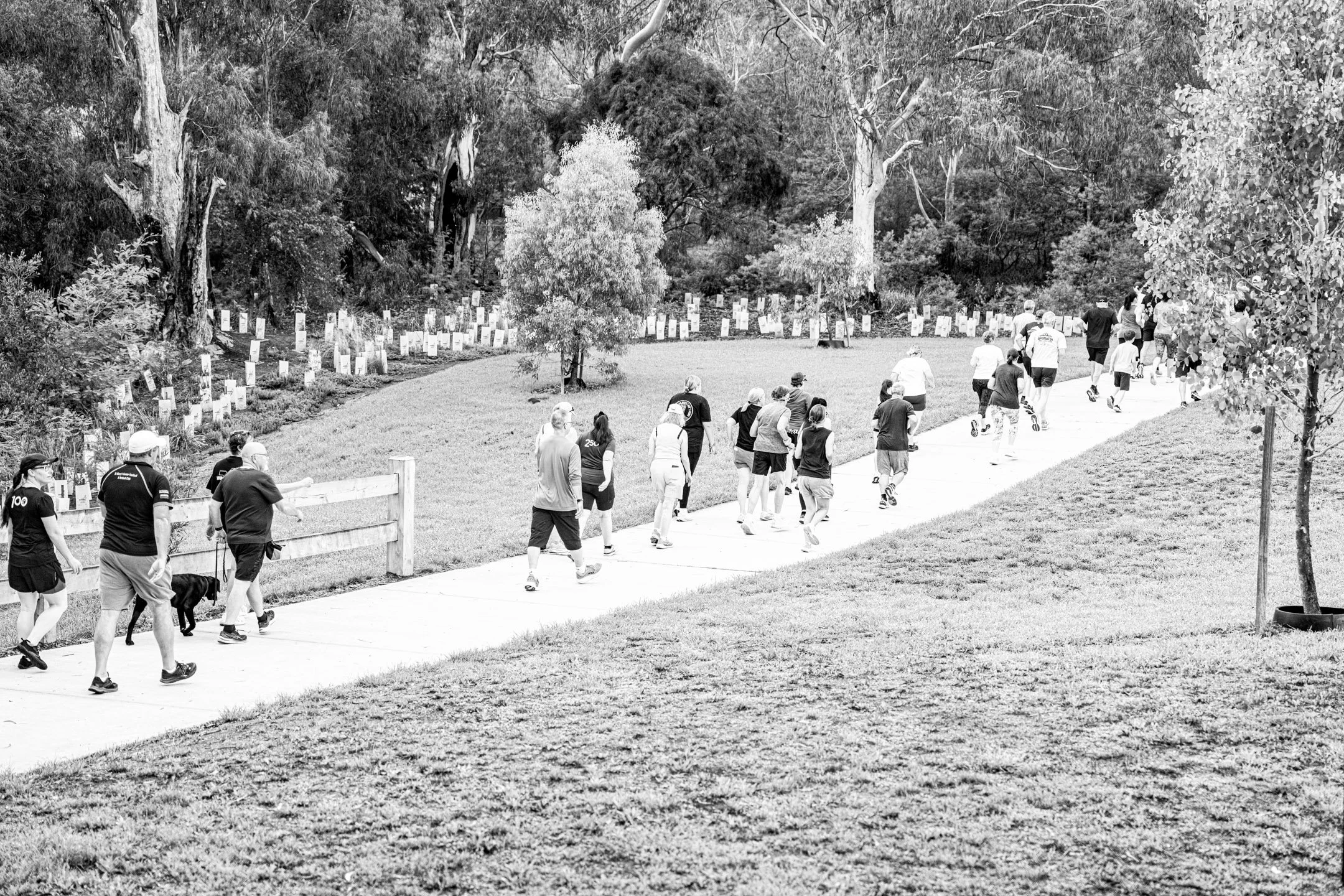 26.02.28 - Diamond Creek Park Run_-206.jpg