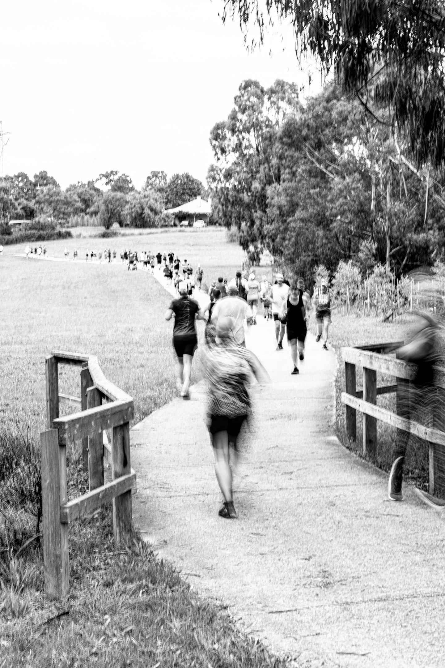 26.03.07 - Diamond Creek Park Run 572-95.jpg