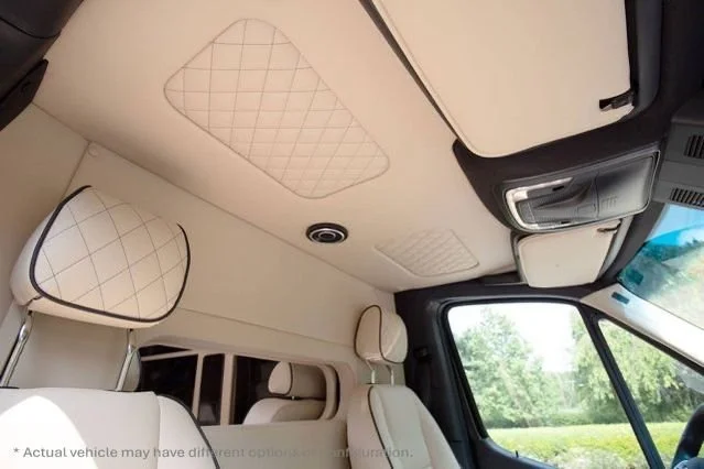 Interior of a vehicle showing seats, headrests, and the ceiling with storage compartments.