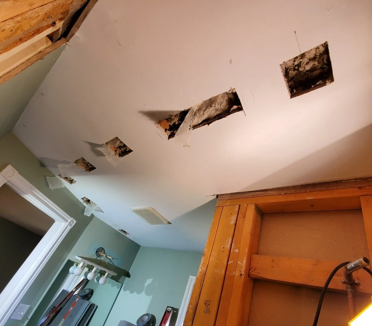 Ceiling with multiple large holes where drywall has been removed, revealing insulation and ceiling structure during renovation.