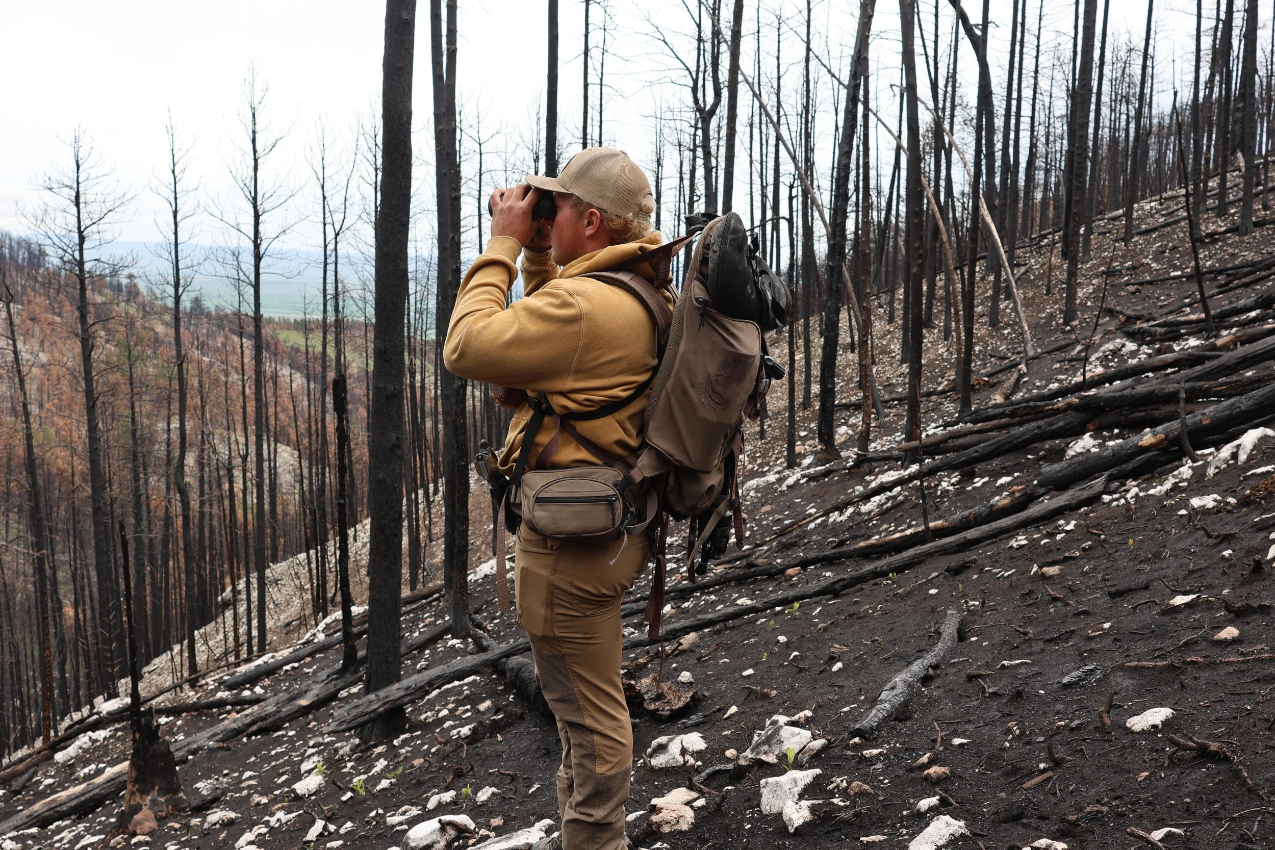 A man in tan outdoor gear and a beige cap stands on a charred, burned forest trail, looking through binoculars, with a backpack. The forest appears burnt, with blackened trees and smoldering ground.