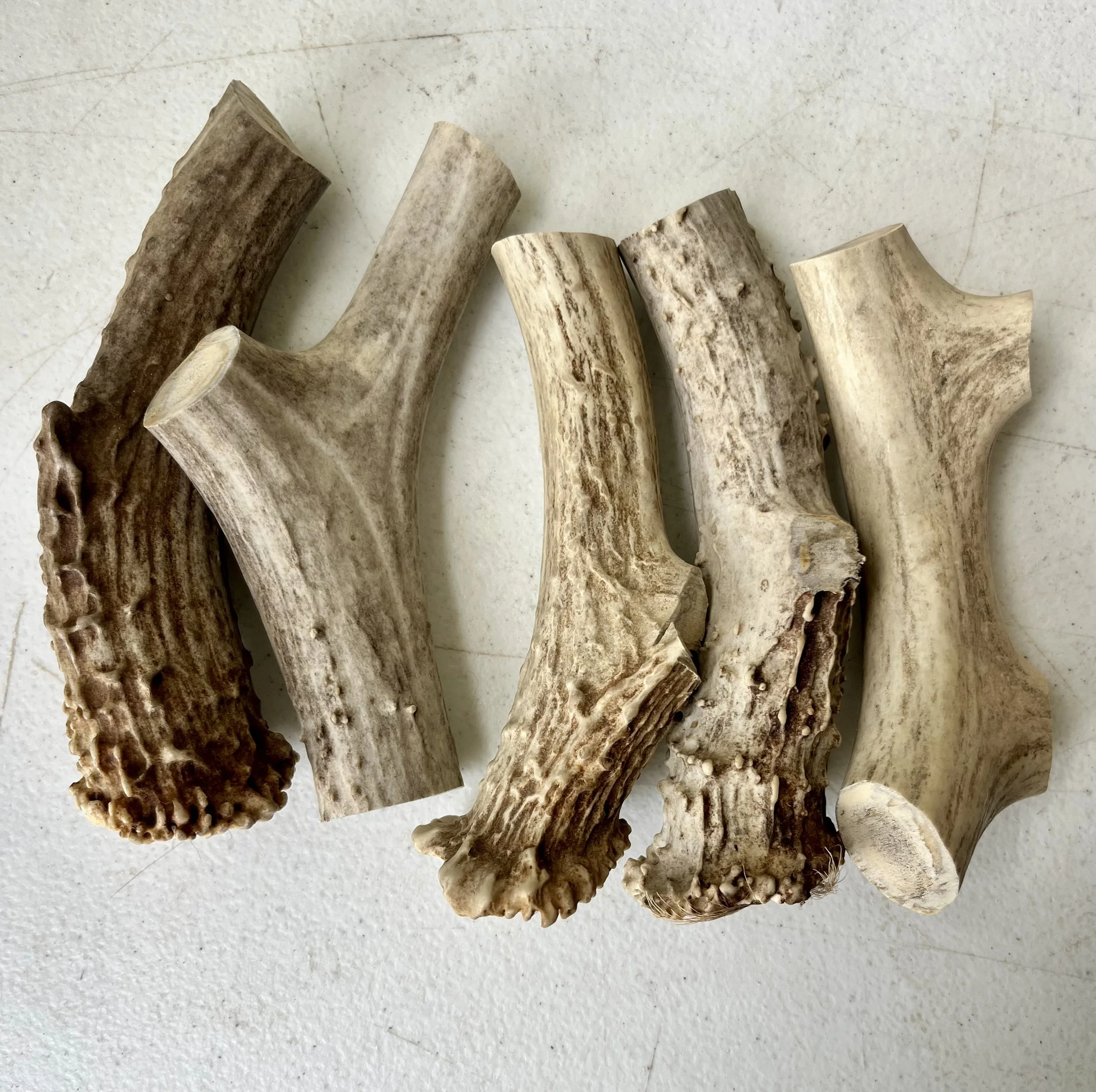 DEER A GRADE LARGE DOG CHEWS