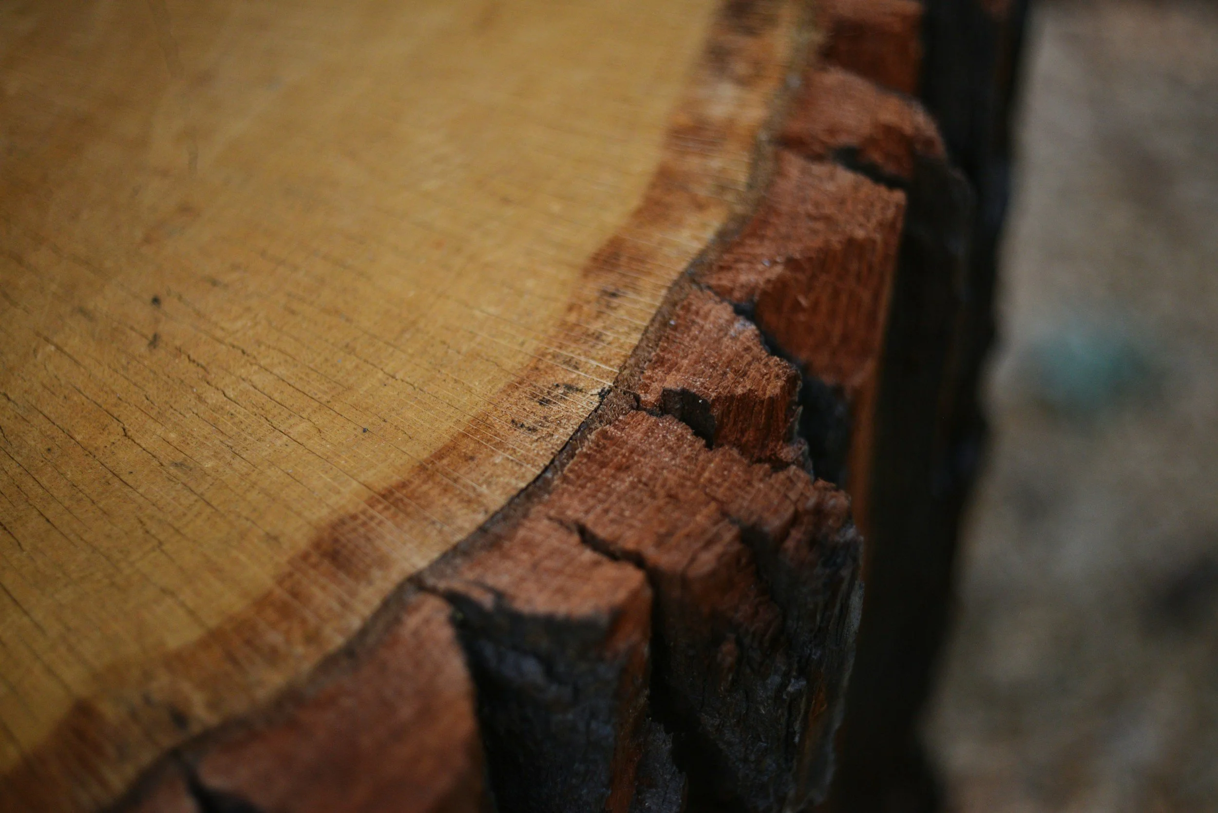 Close-up of a wooden log with visible grain and irregular edges, showing the cut surface and bark.