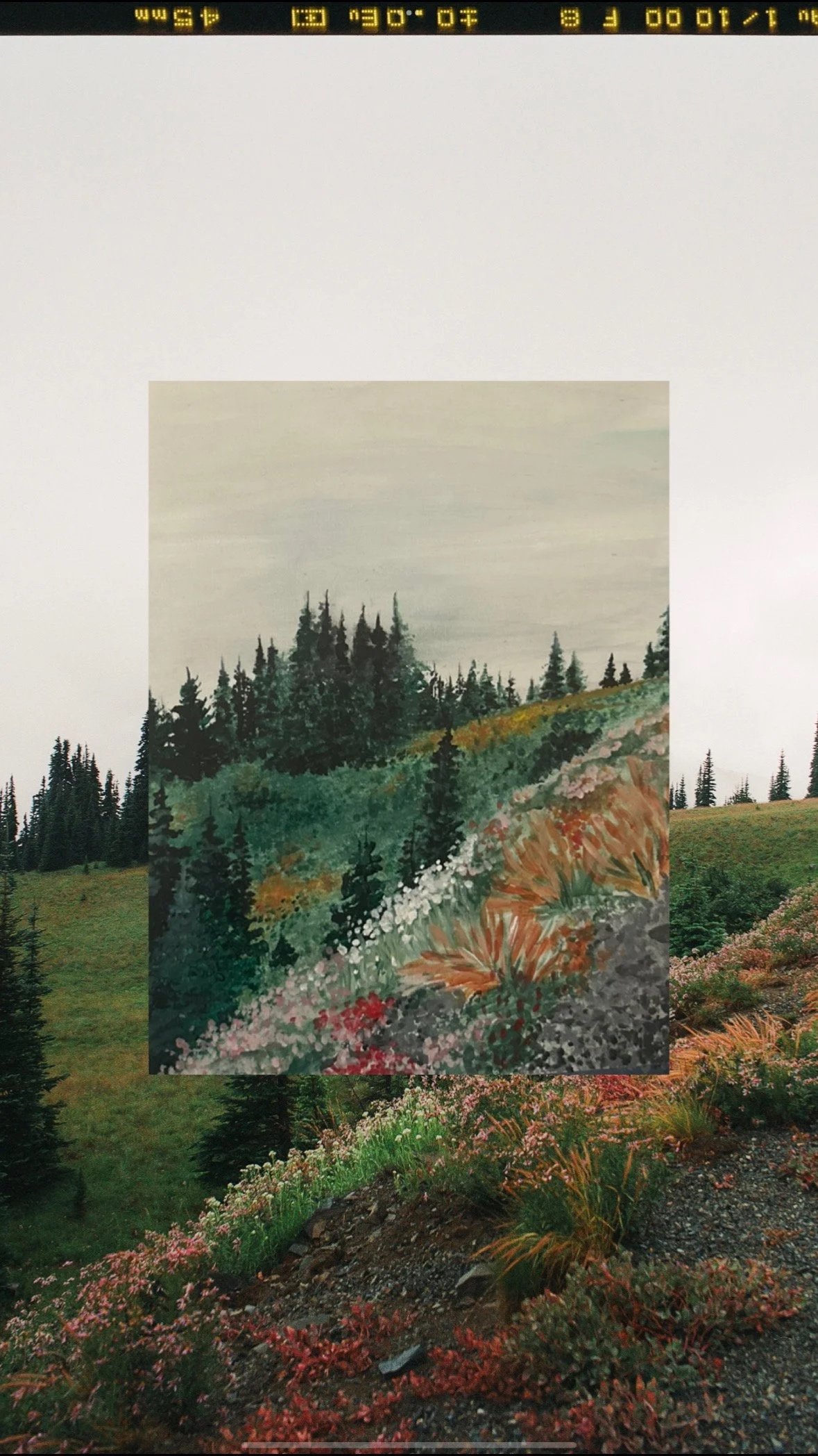 Acrylic painting class