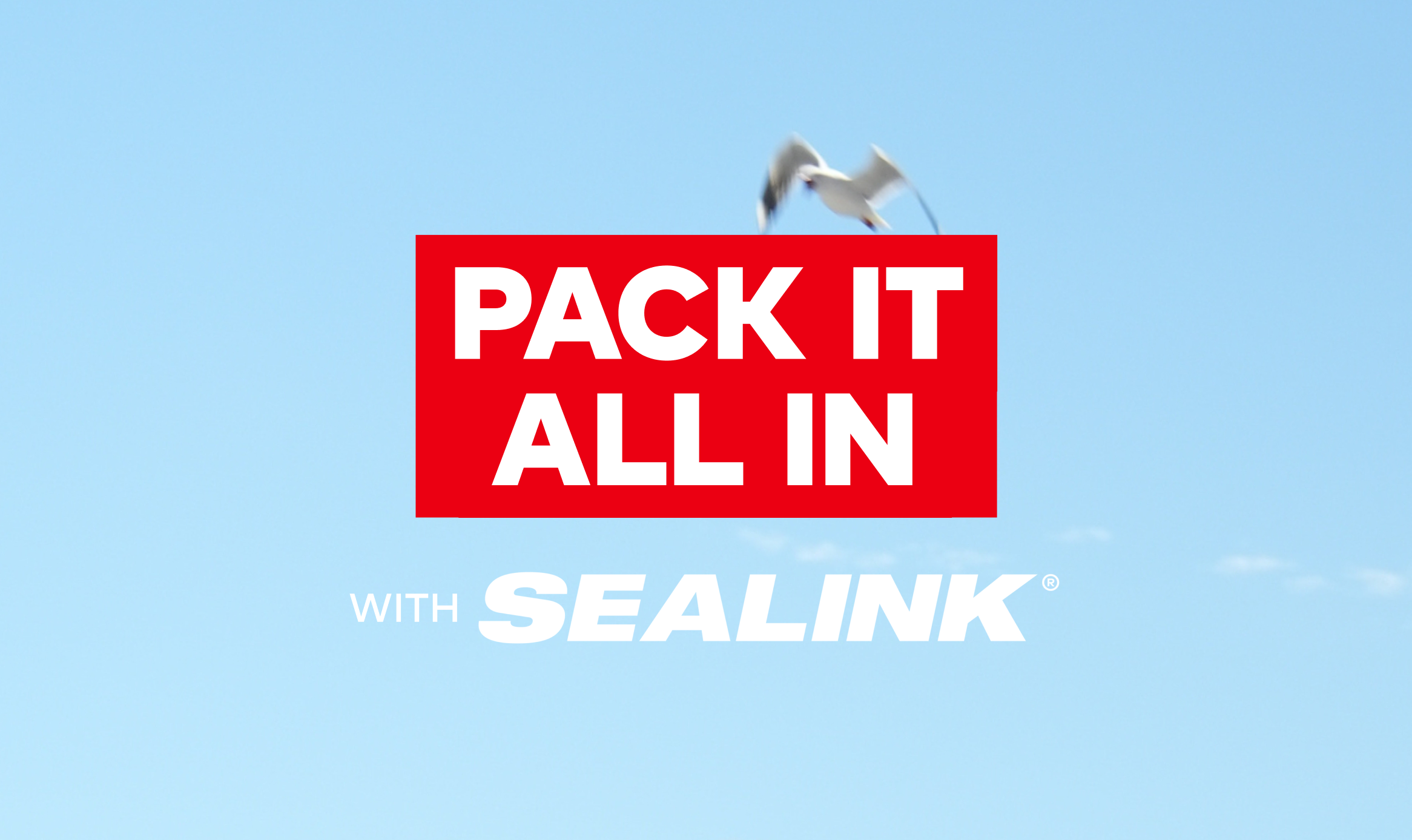 Pack It All In with SeaLink