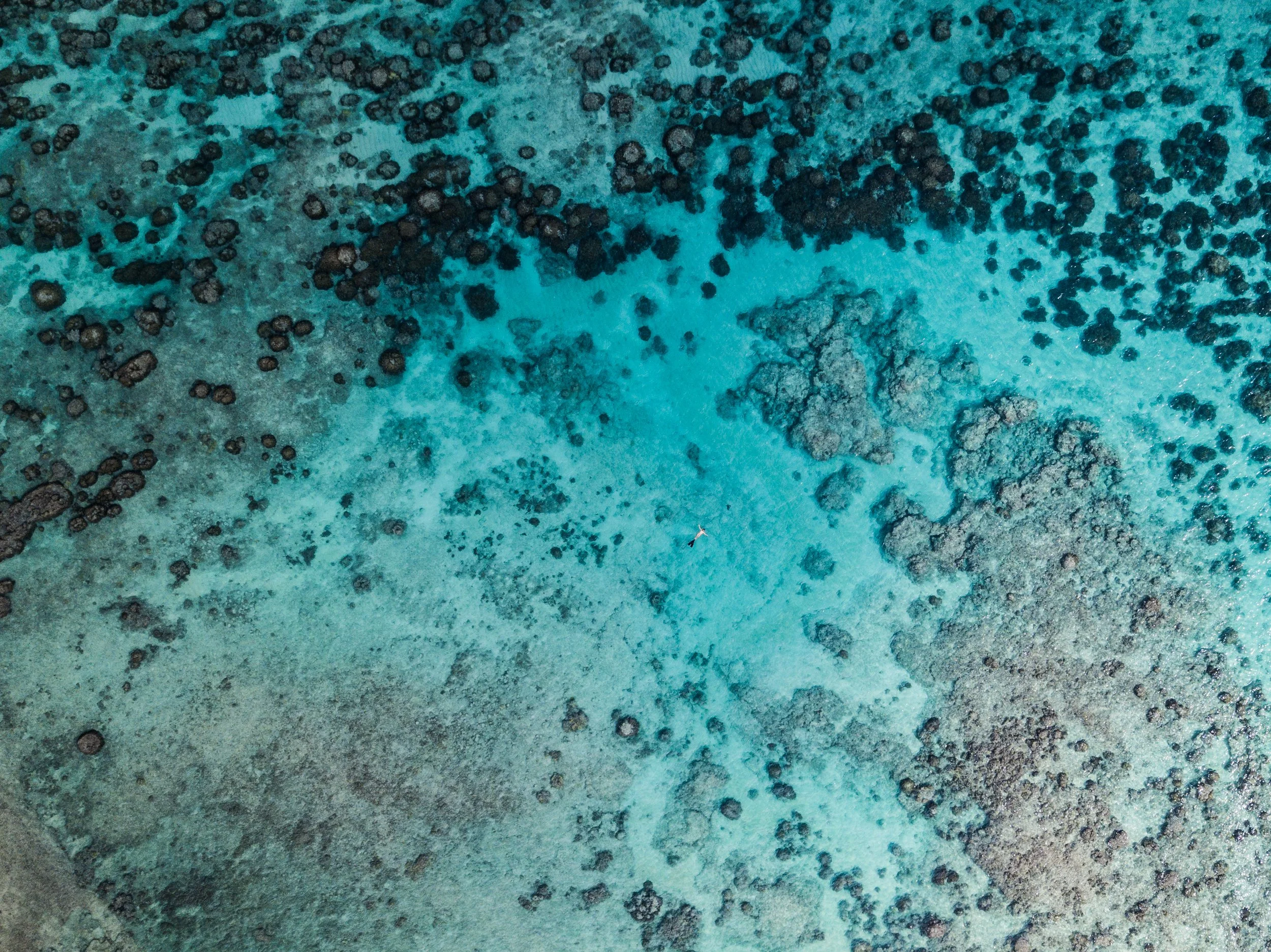 Aerial view of a shallow coastal area with clear blue water and dark rocks or coral formations.
