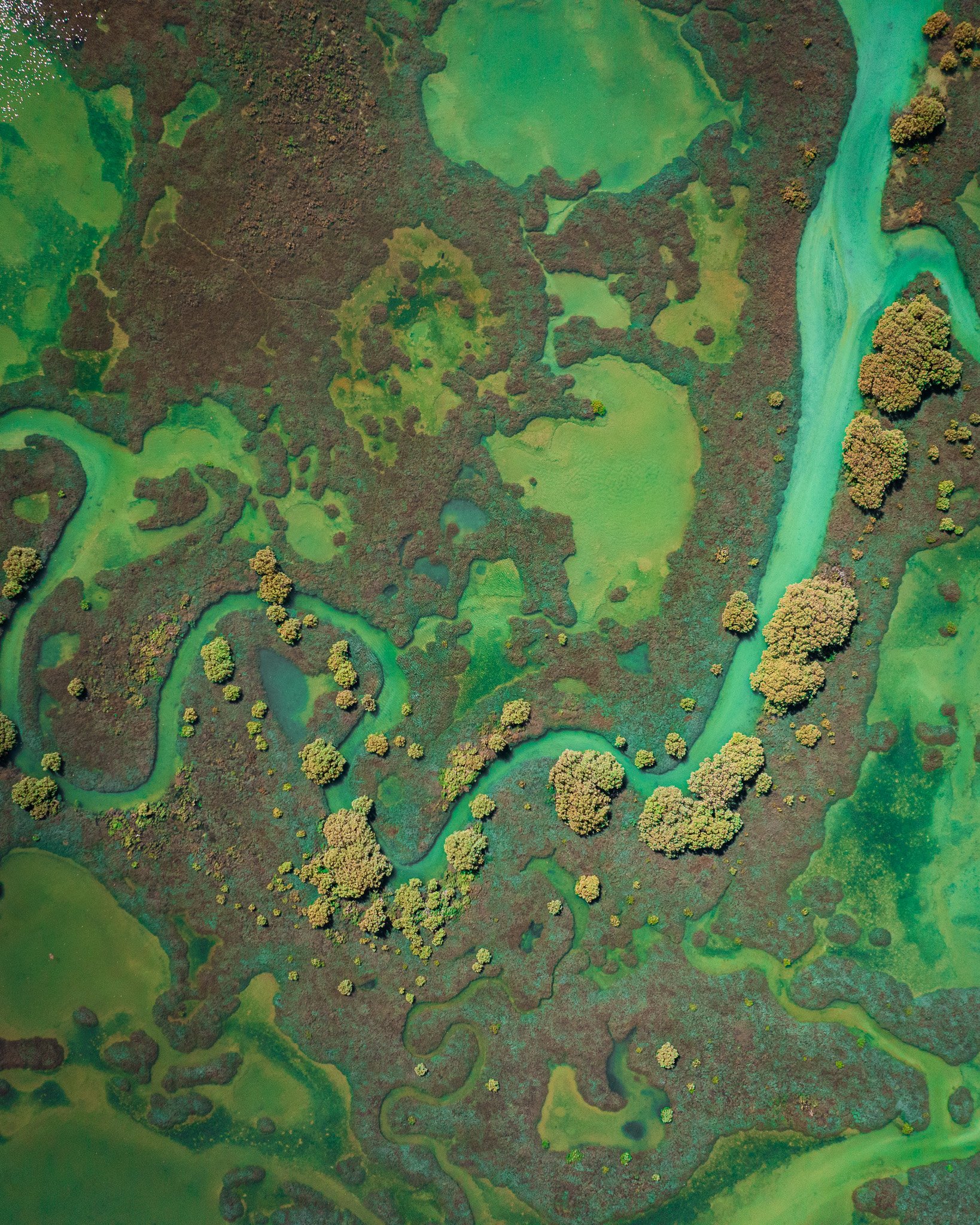 An aerial view of a lush, winding river passing through a green landscape with trees and grass.