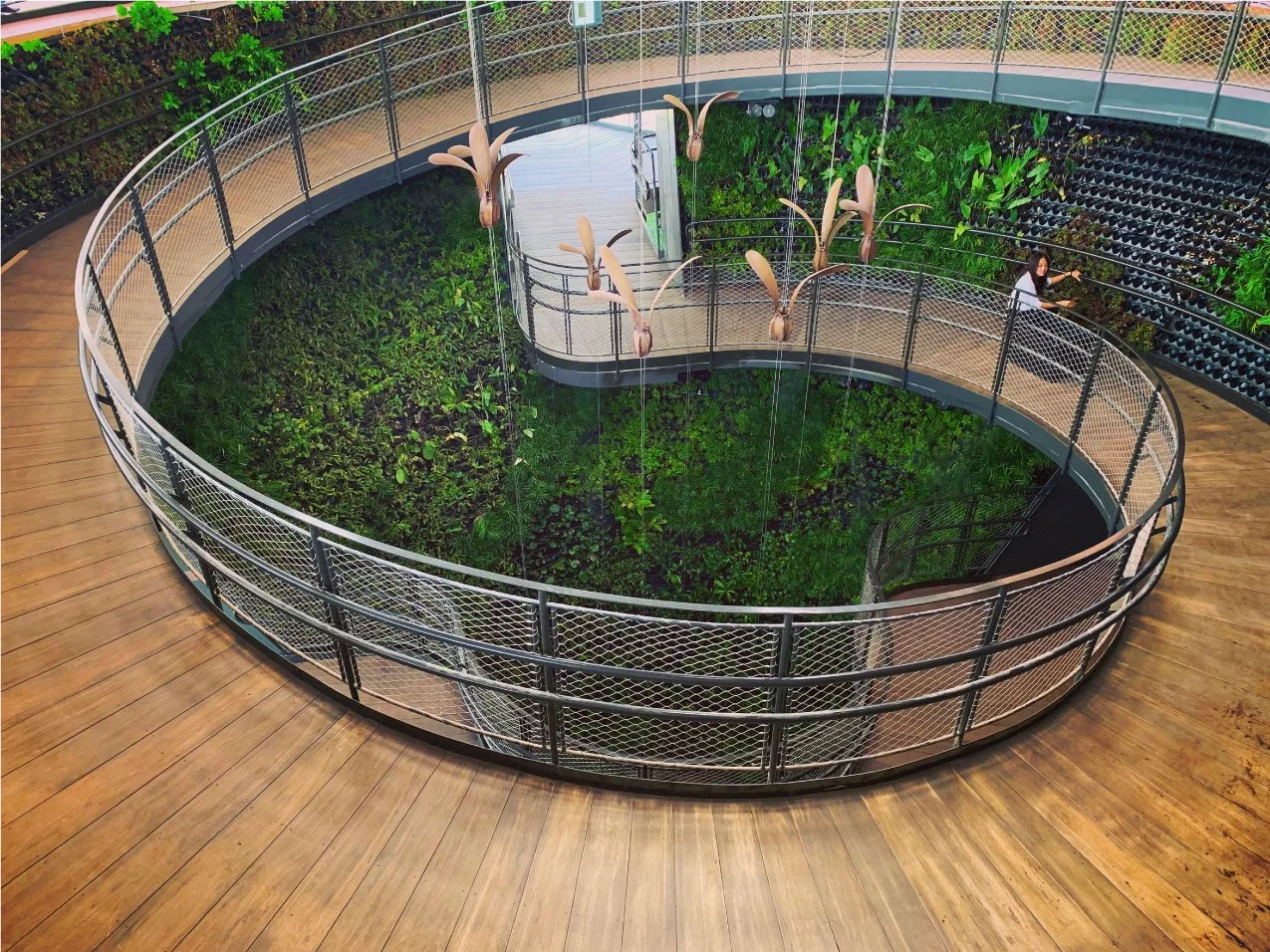 expo2020-canopywalk-05.jpg