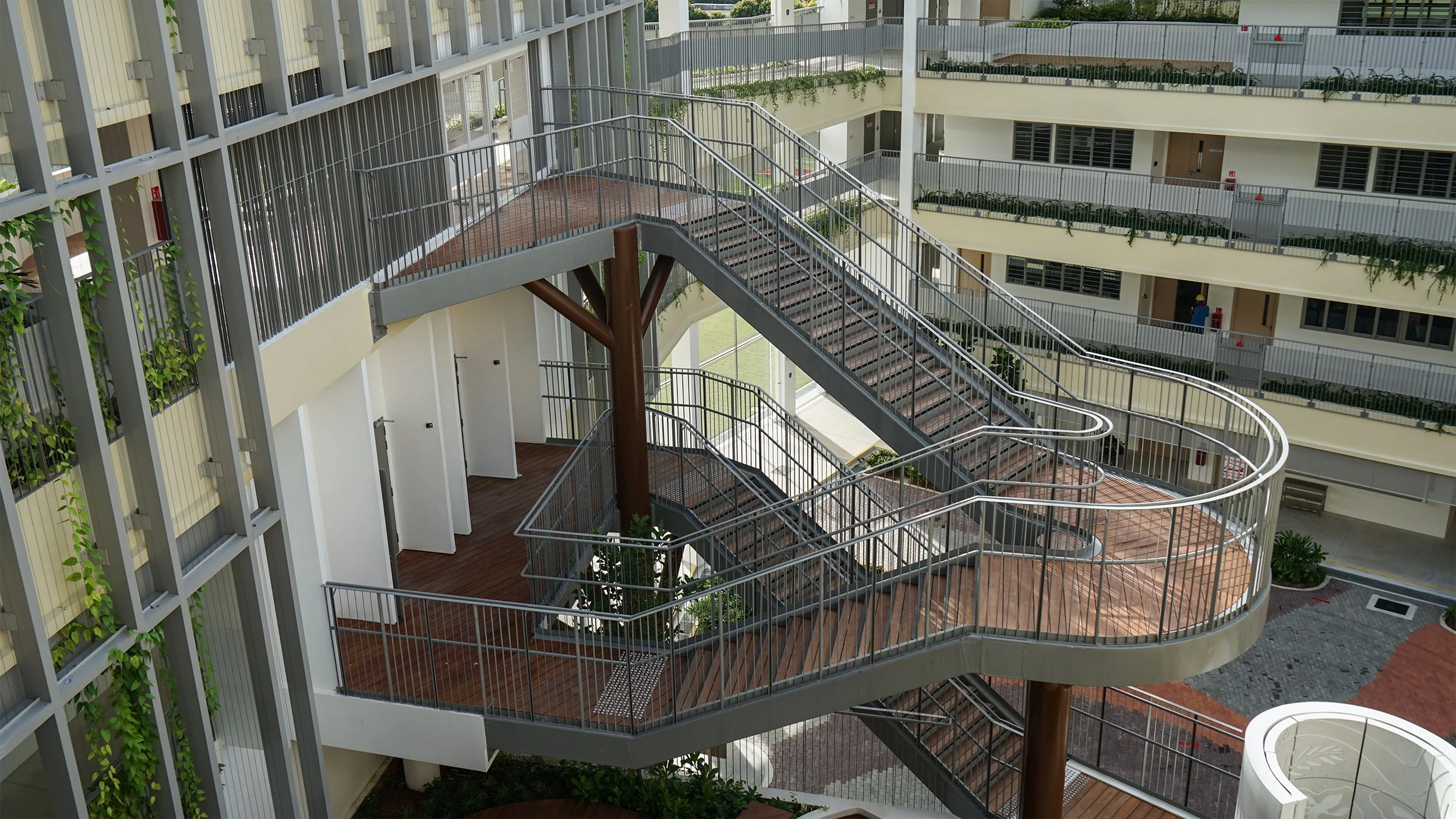APSN Chaoyang School