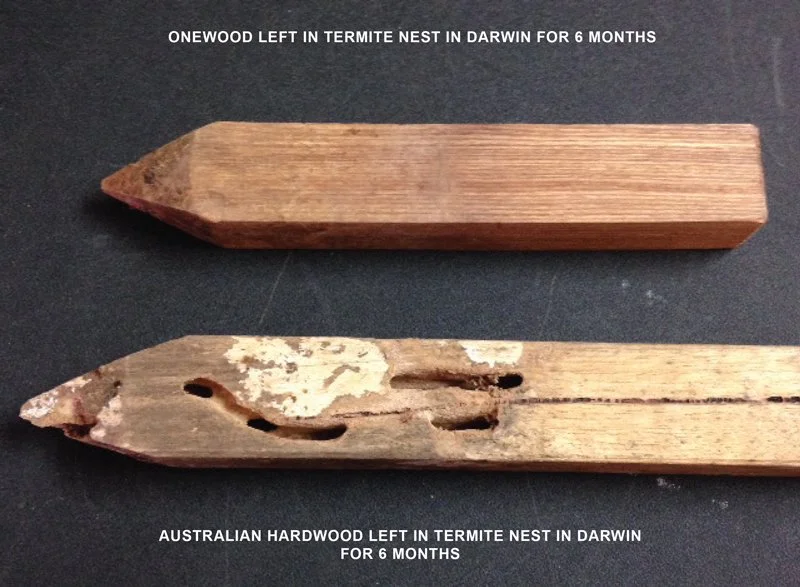 Onewood Termite Resistance Test
