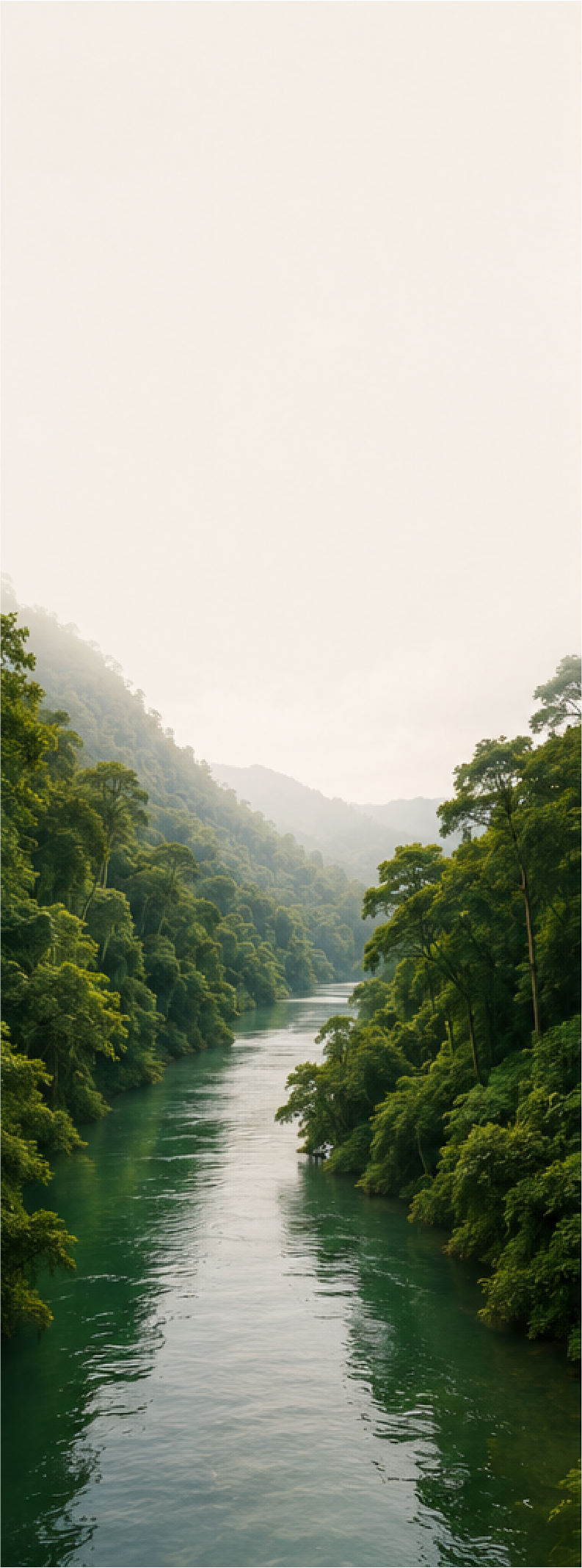 A river flowing through a lush green forested valley, with misty mountains in the background.