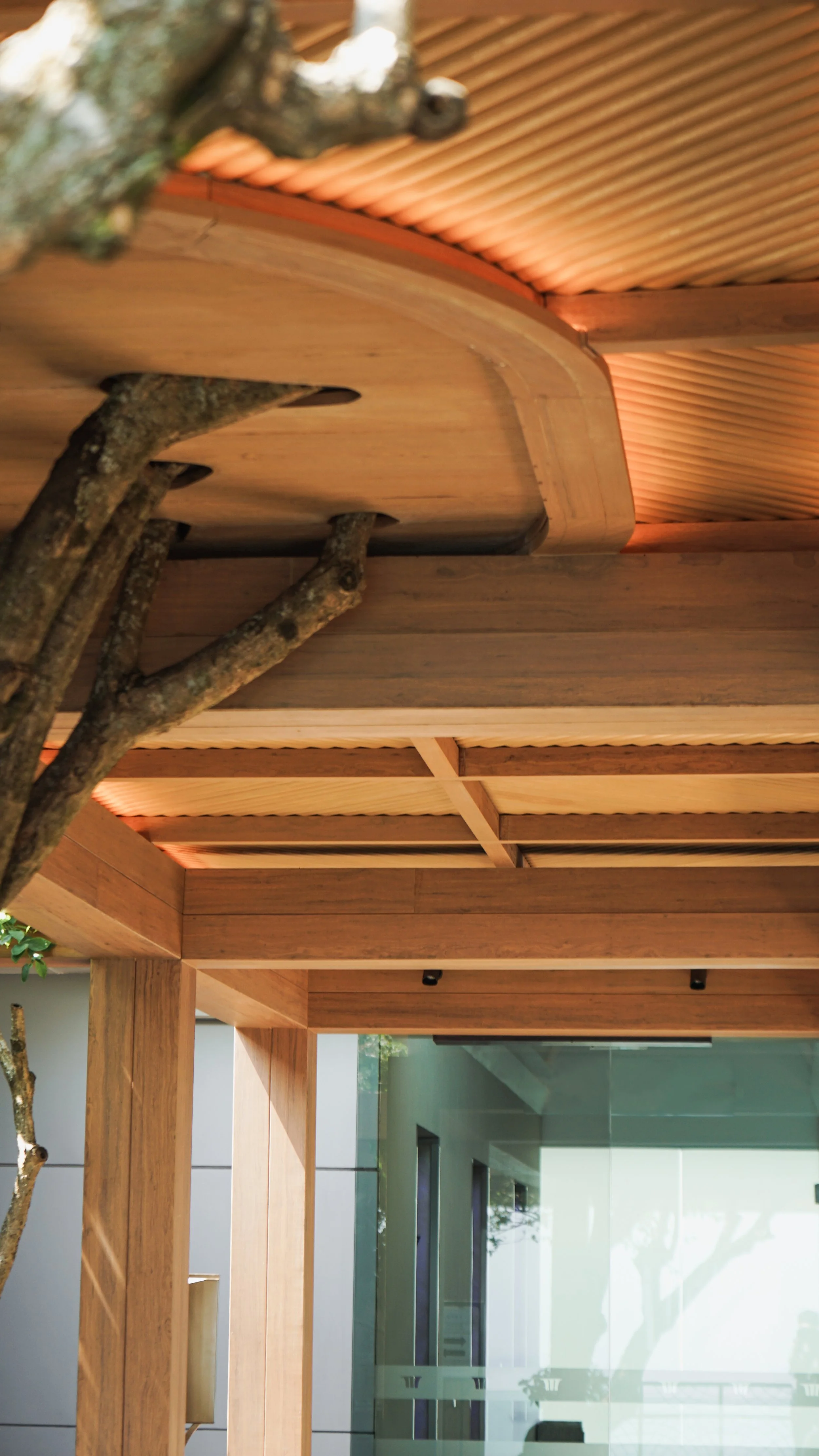 Onewood Ceiling and Canopy Timber Solution 