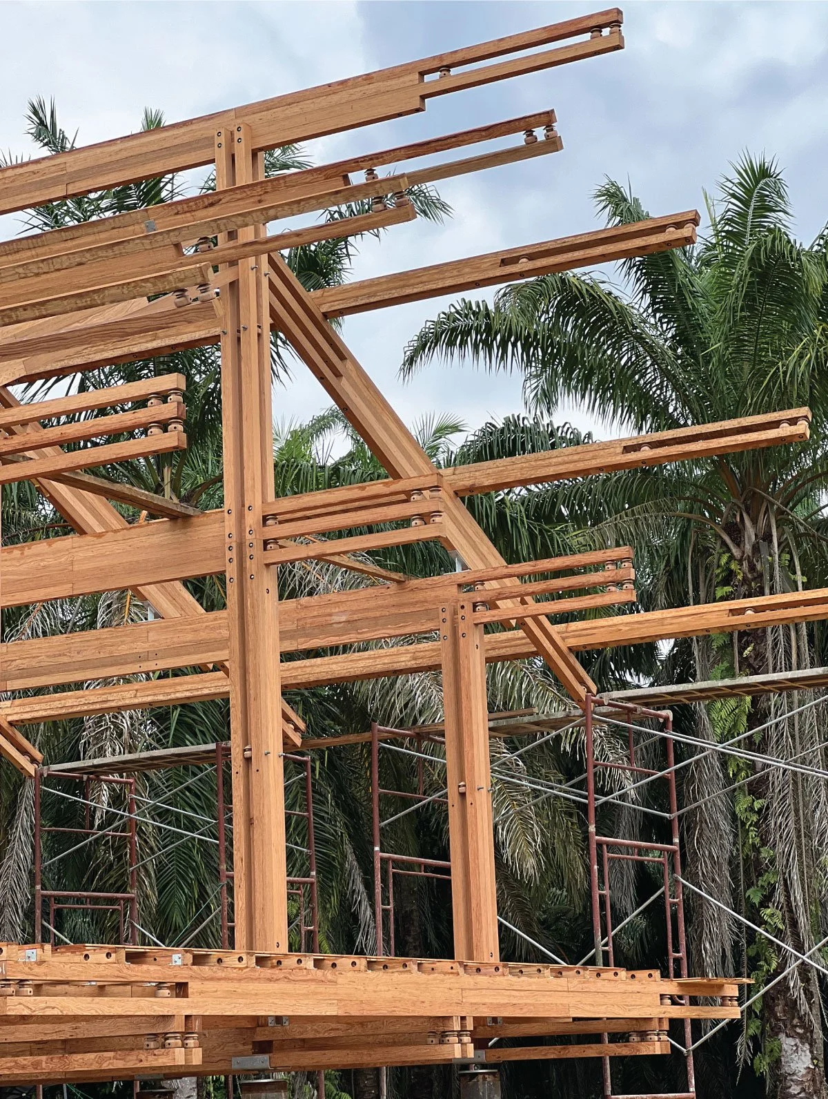 ONEWOOD Timber Structure Beams for a building under construction with palm trees in the background.